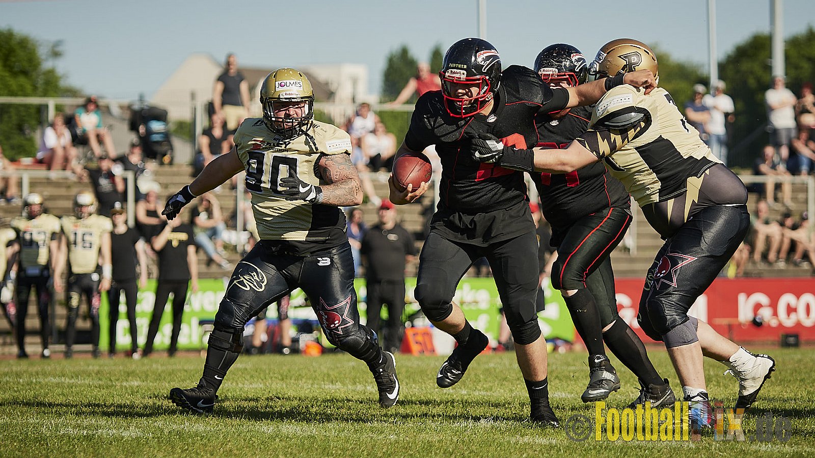 Düsseldorf Panther vs. Paderborn Dolphins - DPantherVsPaderbornDolphins