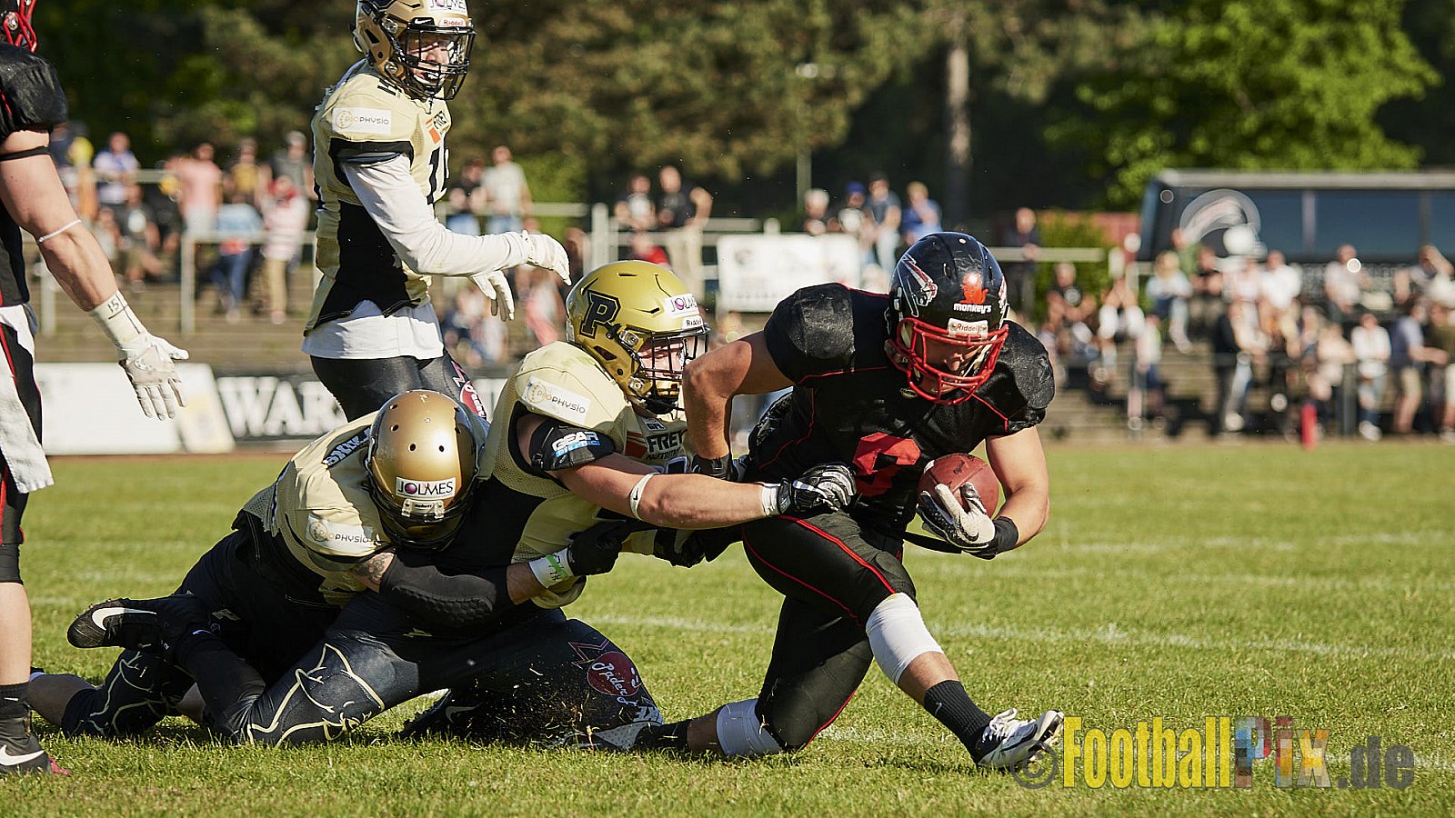 Düsseldorf Panther vs. Paderborn Dolphins - DPantherVsPaderbornDolphins