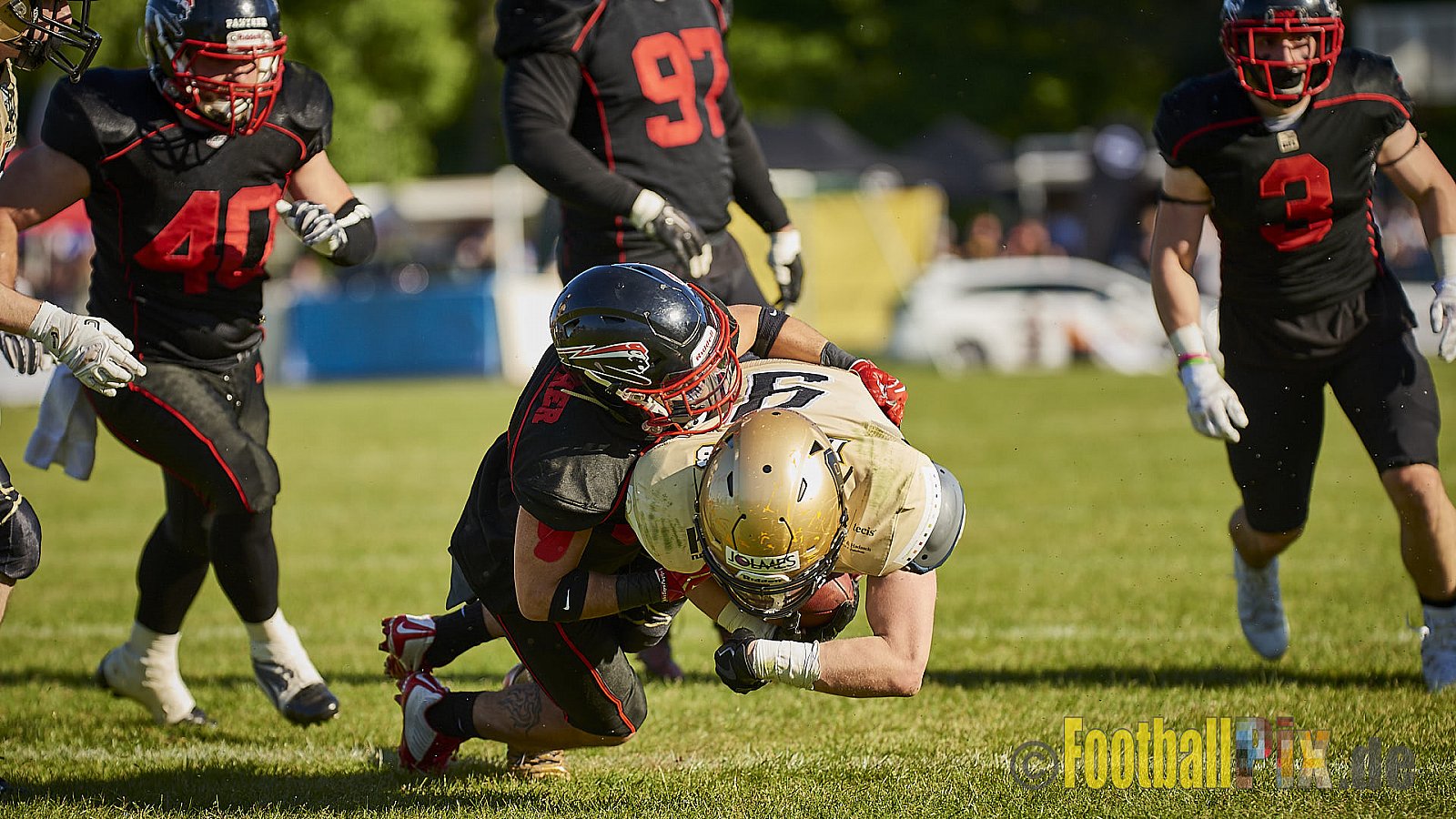 Düsseldorf Panther vs. Paderborn Dolphins - DPantherVsPaderbornDolphins