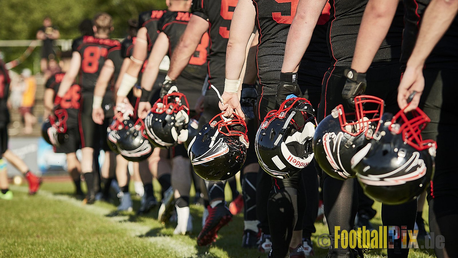 Düsseldorf Panther vs. Paderborn Dolphins - DPantherVsPaderbornDolphins