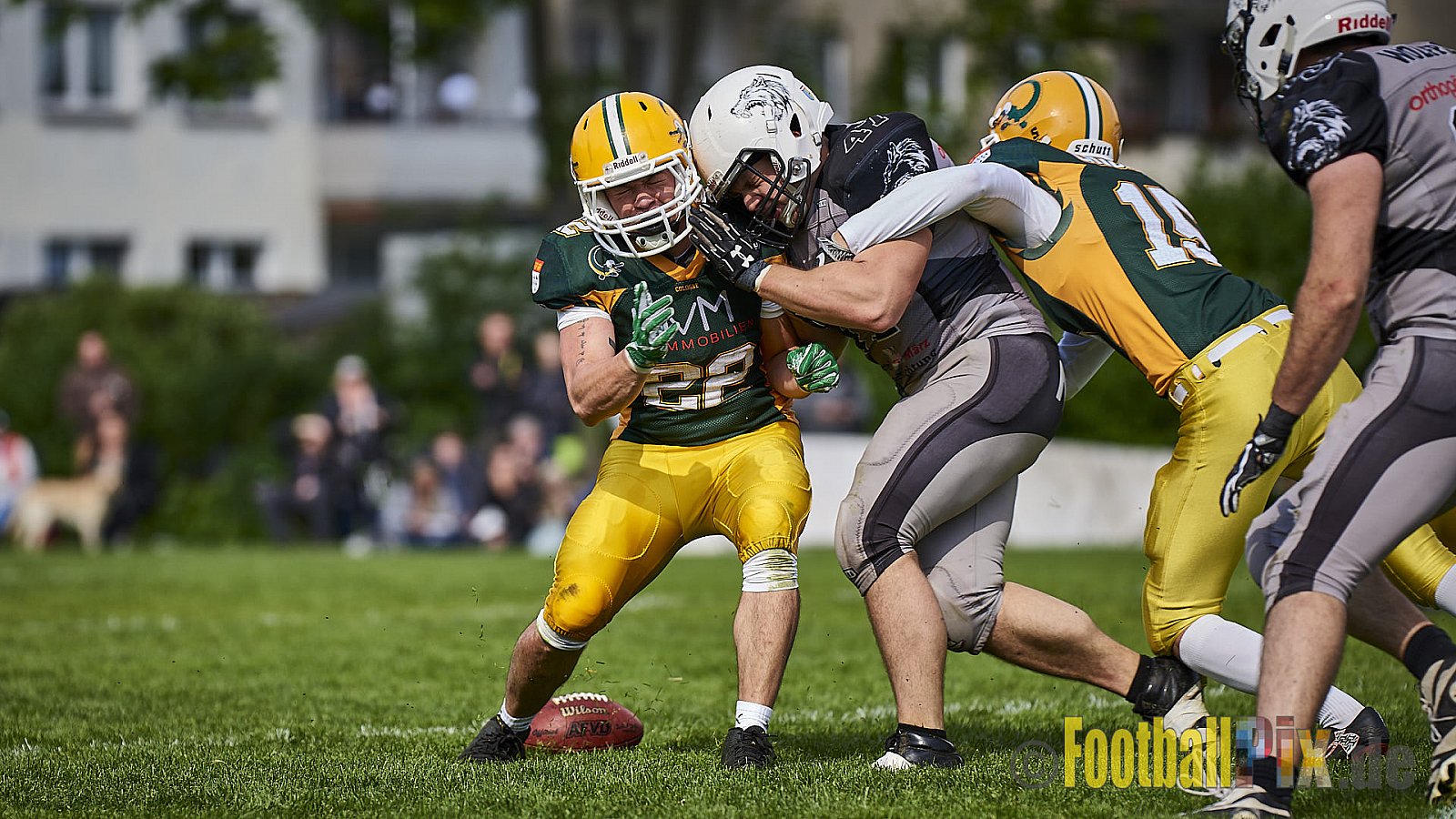 Mönchengladbach Wolfpack vs. Cologne Crocodiles Prospects - 10.05.2018 VL NRW: Mönchengladbach Wolfpack vs. Cologne Crocodiles Prospects (0:0)