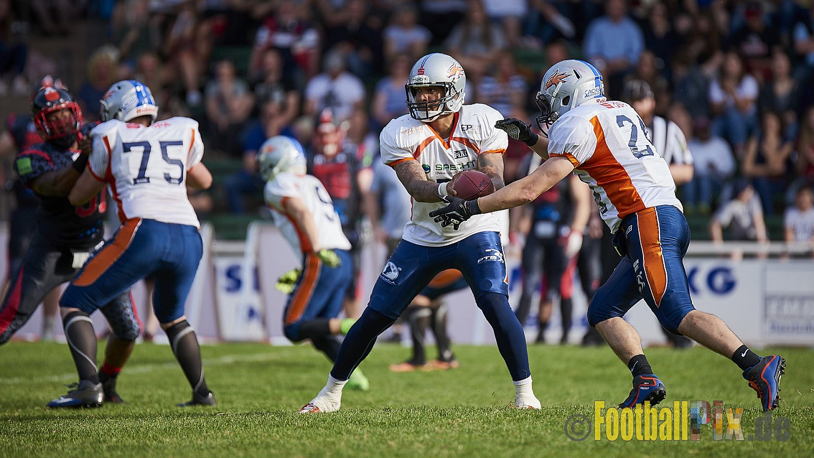 Solingen Paladins vs. Rostock Griffins - 12.05.2018 GFL2: Solingen Paladins vs. Rostock Griffins (41:30)