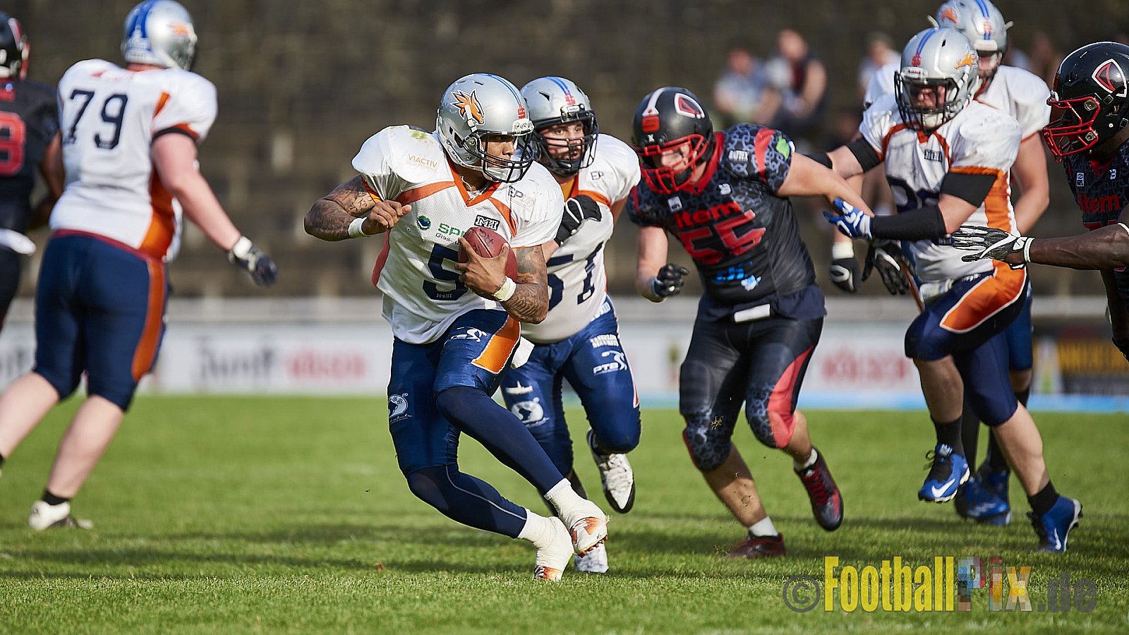 Solingen Paladins vs. Rostock Griffins - 12.05.2018 GFL2: Solingen Paladins vs. Rostock Griffins (41:30)