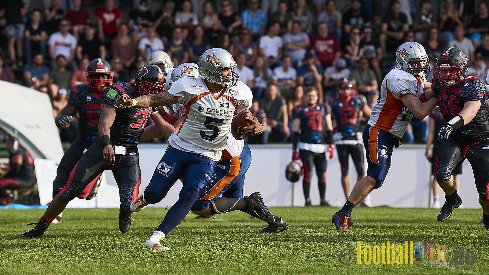 Solingen Paladins vs. Rostock Griffins - 12.05.2018 GFL2: Solingen Paladins vs. Rostock Griffins (41:30)