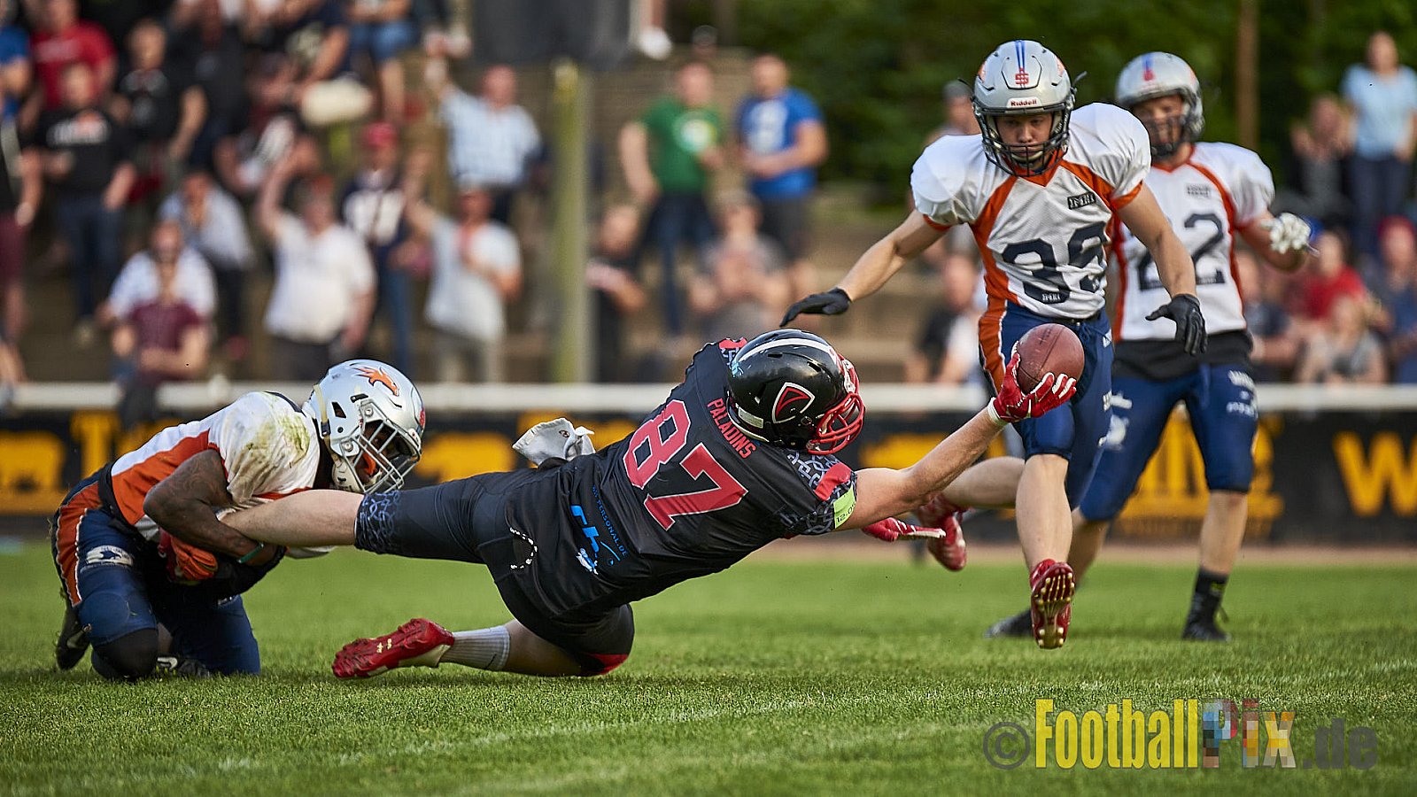 Solingen Paladins vs. Rostock Griffins - 12.05.2018 GFL2: Solingen Paladins vs. Rostock Griffins (41:30)
