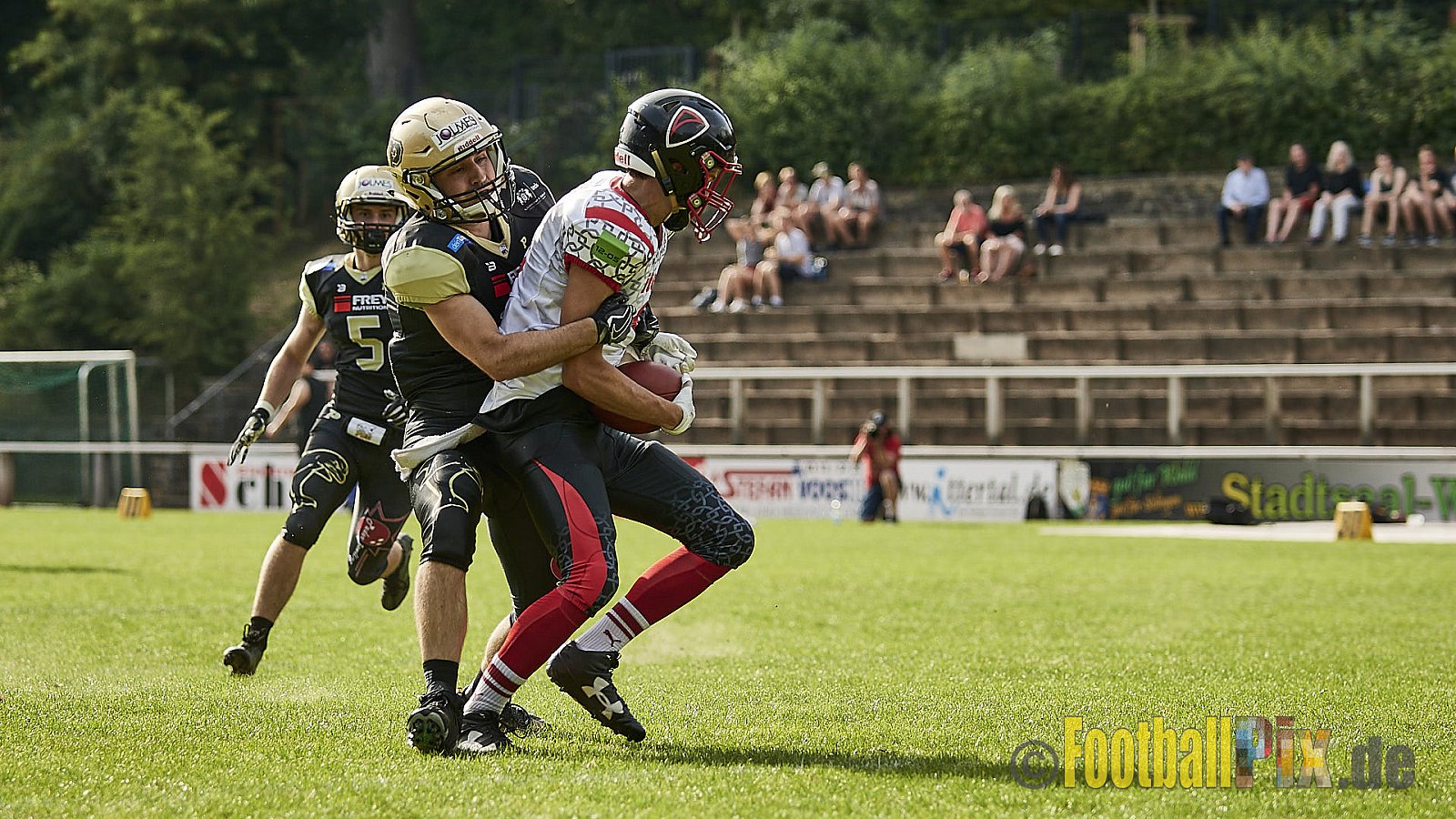 Solingen Paladins vs. Paderborn Dolphins  - SolingenPaladinsVsPaderbornDolphins
