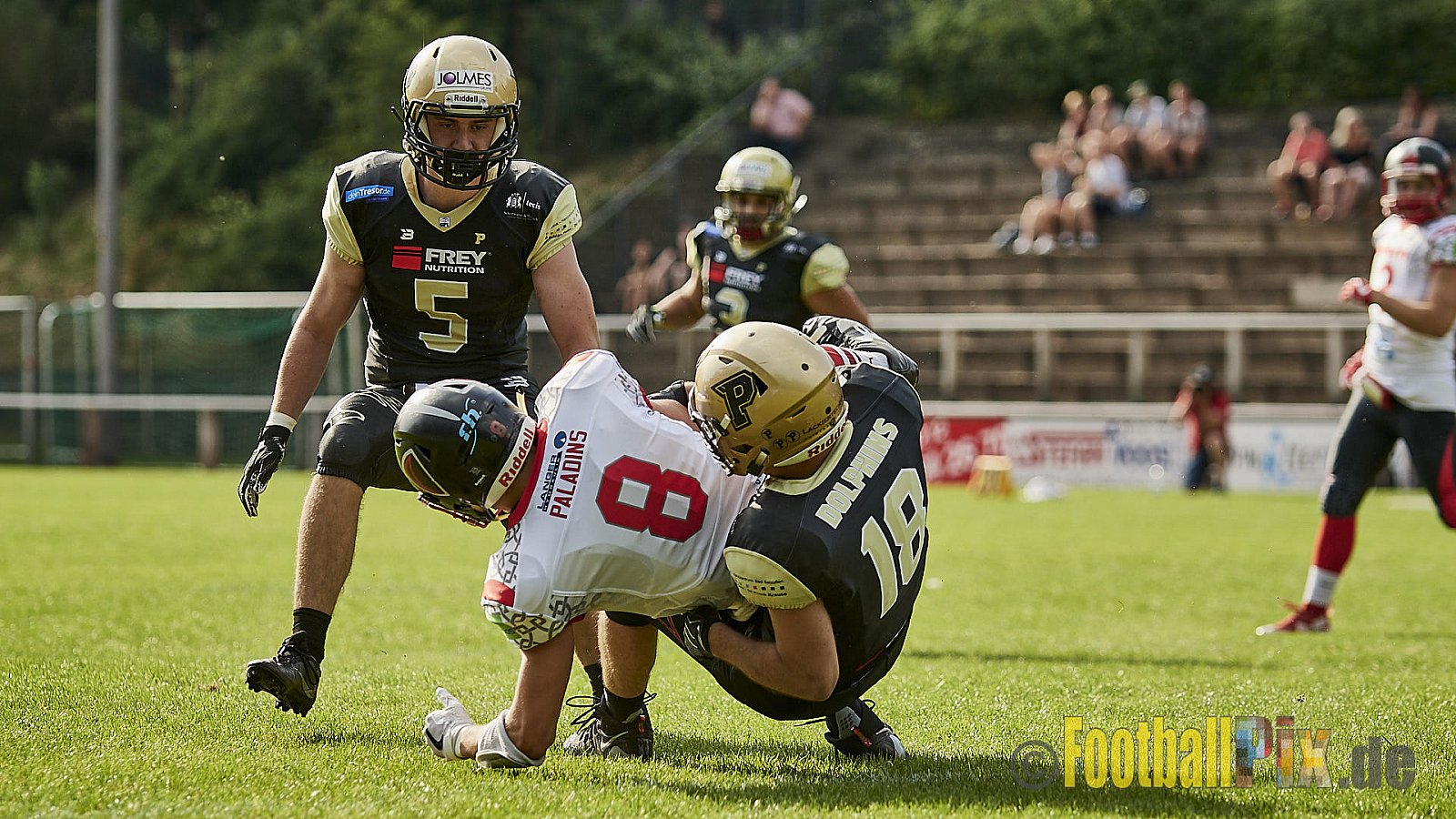 Solingen Paladins vs. Paderborn Dolphins  - SolingenPaladinsVsPaderbornDolphins