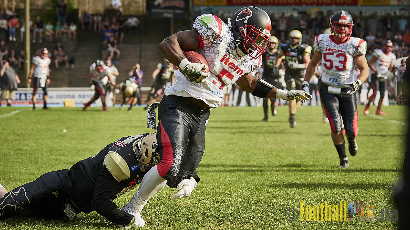 Solingen Paladins vs. Paderborn Dolphins  - SolingenPaladinsVsPaderbornDolphins