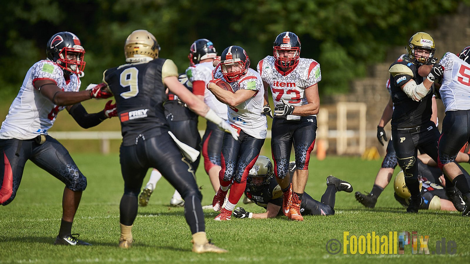 Solingen Paladins vs. Paderborn Dolphins  - SolingenPaladinsVsPaderbornDolphins
