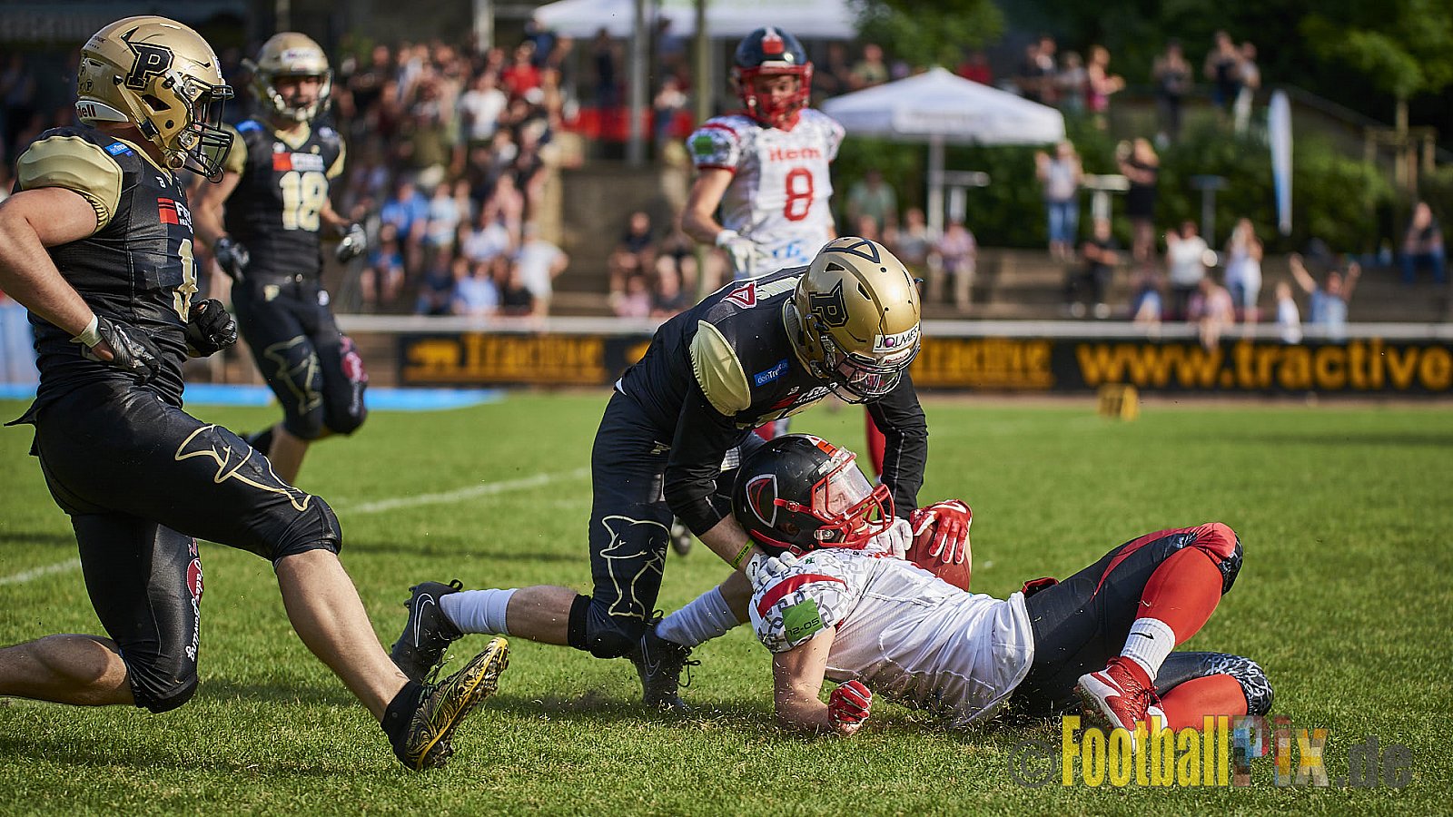 Solingen Paladins vs. Paderborn Dolphins  - SolingenPaladinsVsPaderbornDolphins