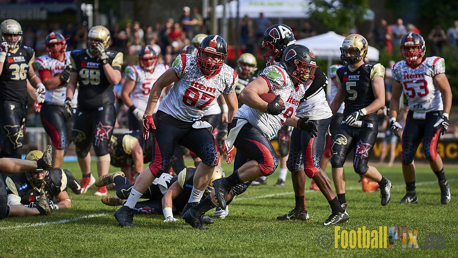 Solingen Paladins vs. Paderborn Dolphins  - SolingenPaladinsVsPaderbornDolphins