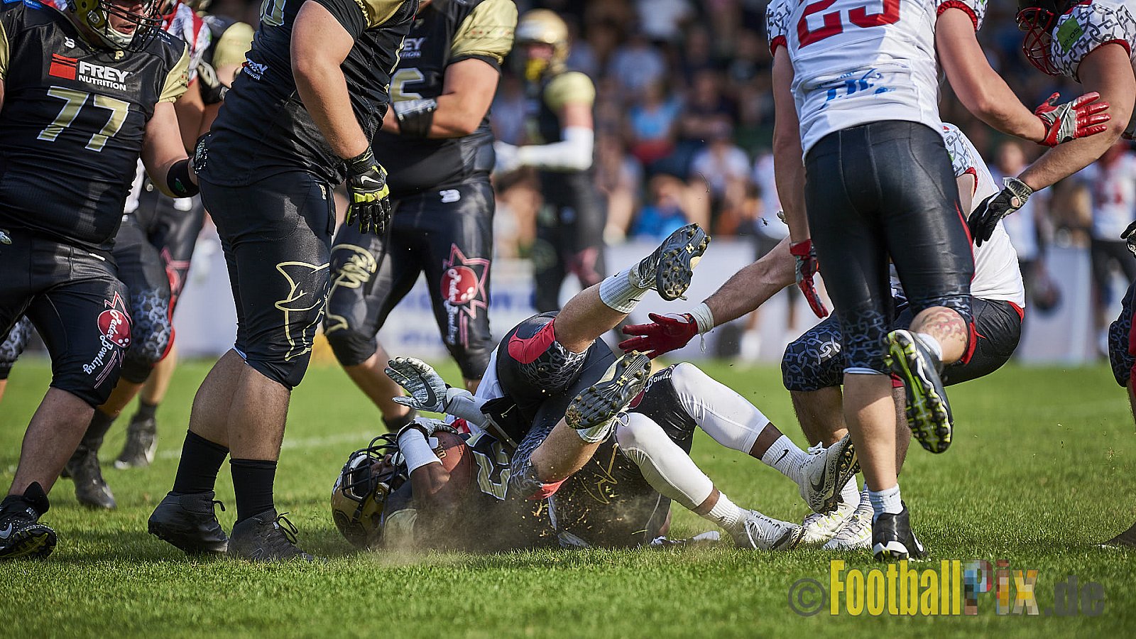 Solingen Paladins vs. Paderborn Dolphins  - SolingenPaladinsVsPaderbornDolphins