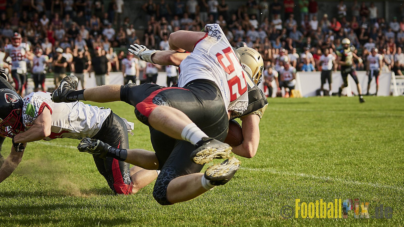Solingen Paladins vs. Paderborn Dolphins  - SolingenPaladinsVsPaderbornDolphins