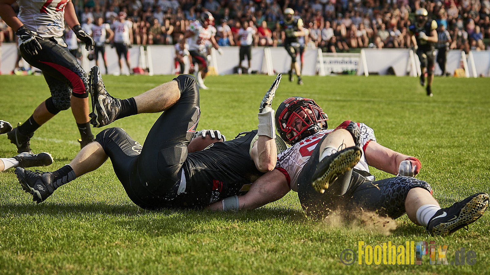 Solingen Paladins vs. Paderborn Dolphins  - SolingenPaladinsVsPaderbornDolphins