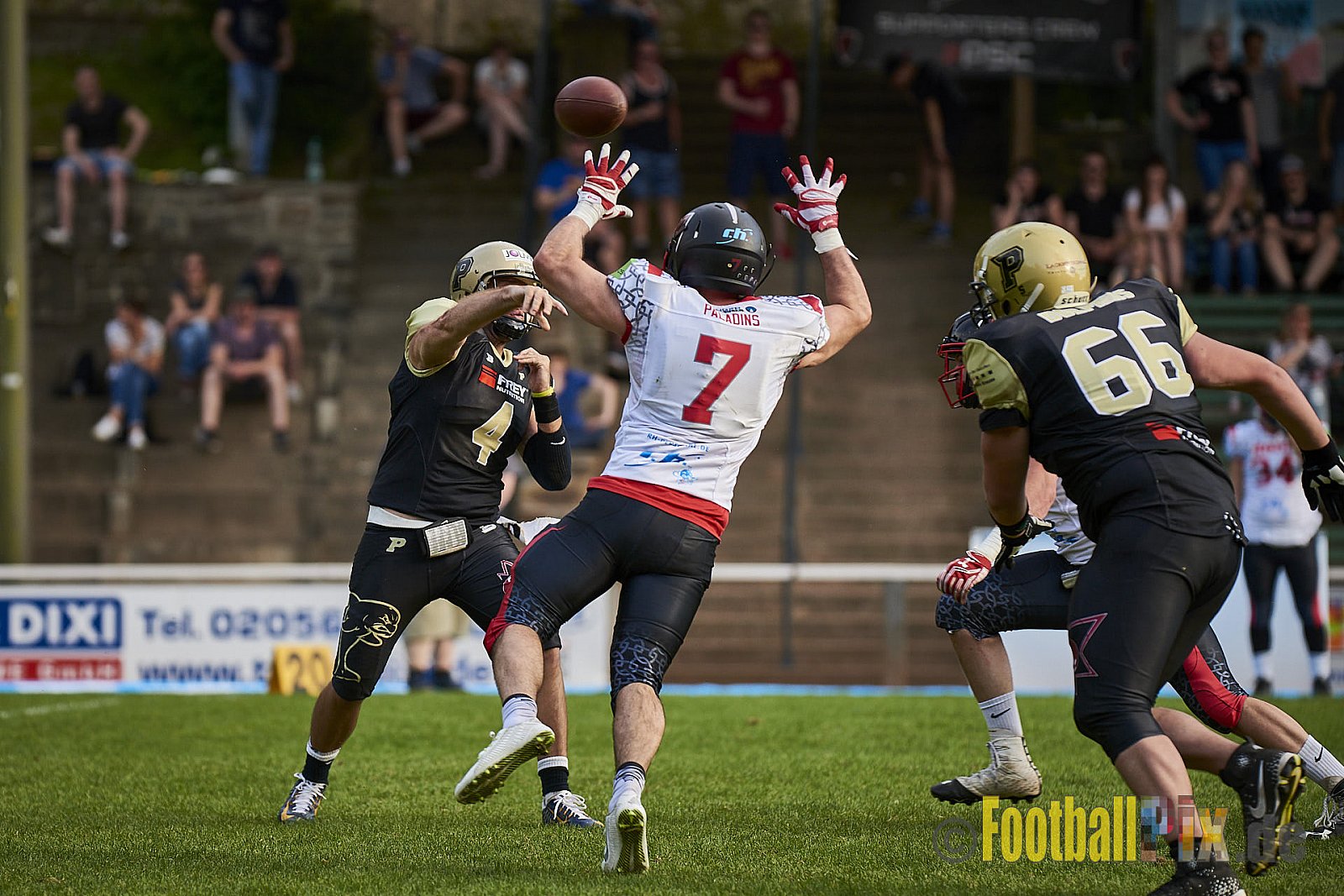 Solingen Paladins vs. Paderborn Dolphins  - SolingenPaladinsVsPaderbornDolphins