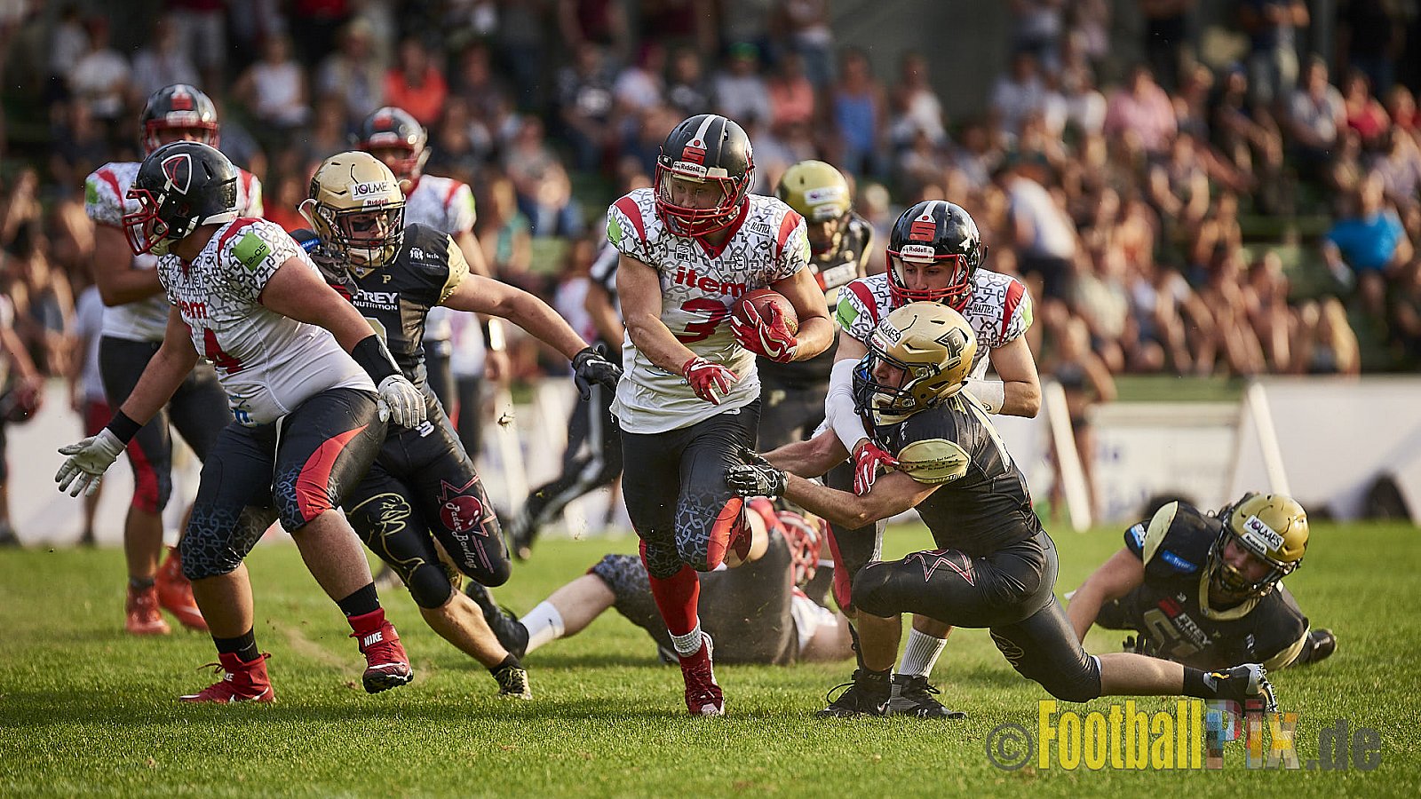 Solingen Paladins vs. Paderborn Dolphins  - SolingenPaladinsVsPaderbornDolphins