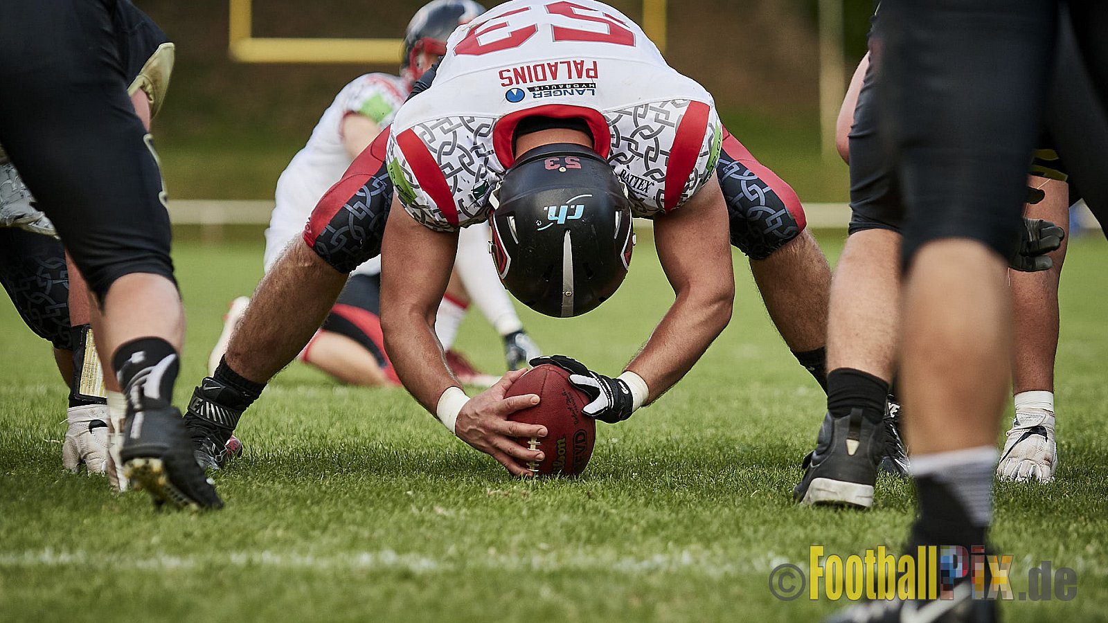 Solingen Paladins vs. Paderborn Dolphins  - SolingenPaladinsVsPaderbornDolphins