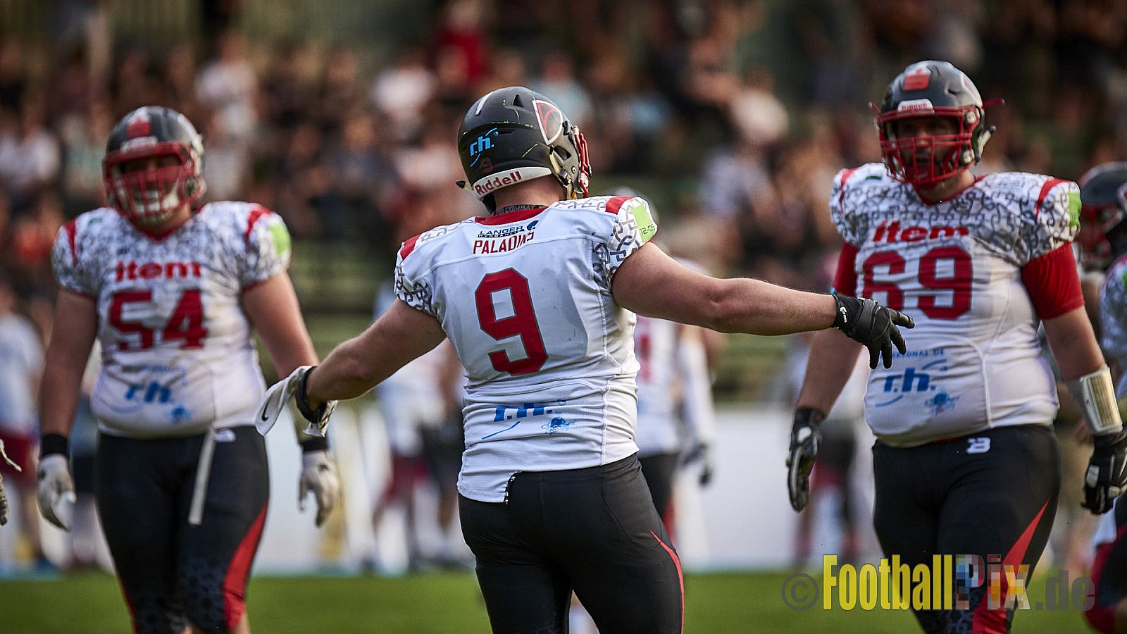 Solingen Paladins vs. Paderborn Dolphins  - SolingenPaladinsVsPaderbornDolphins