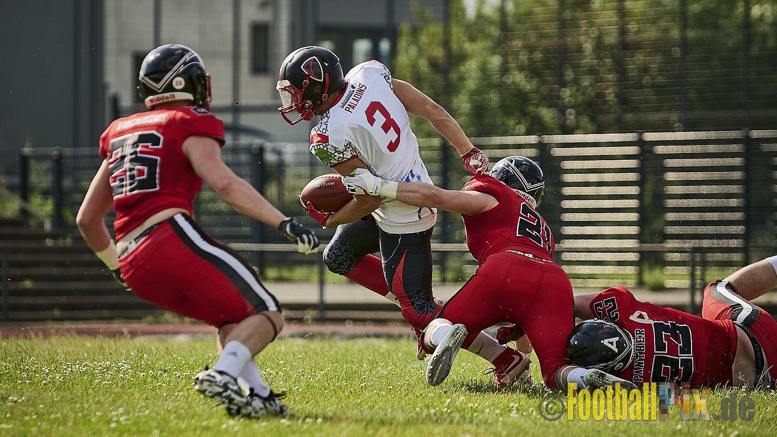 Düsseldorf Panther vs. Solingen Paladins - DPantherVsSolingenPaladins