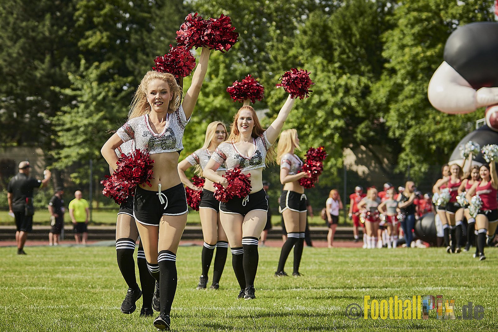 Düsseldorf Panther vs. Lübeck Cougars - DPantherVsLCougars