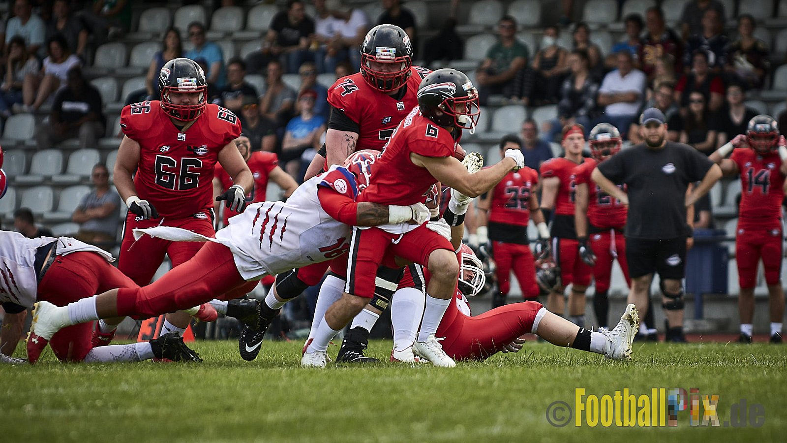 Düsseldorf Panther vs. Lübeck Cougars - DPantherVsLCougars