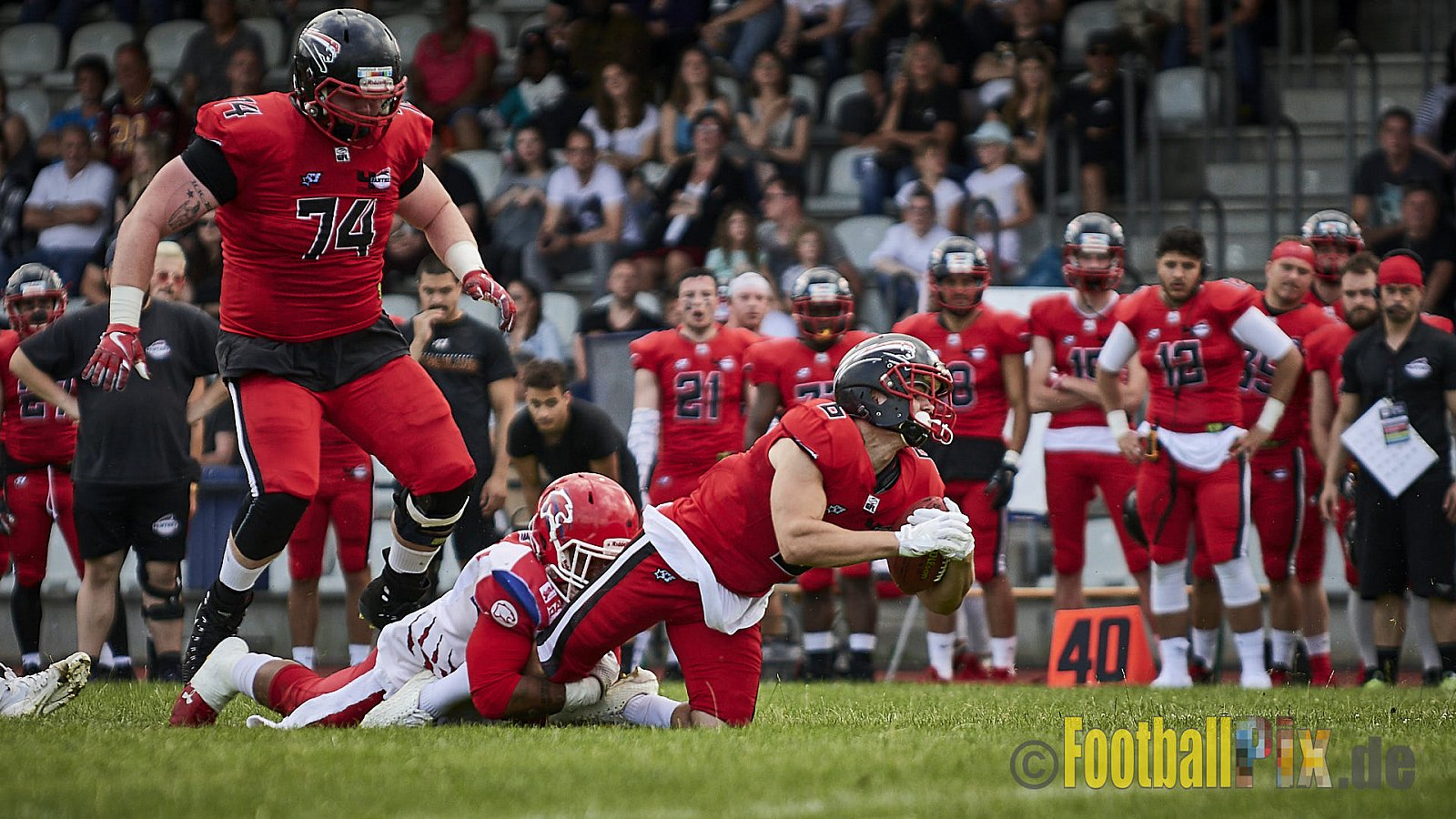 Düsseldorf Panther vs. Lübeck Cougars - DPantherVsLCougars
