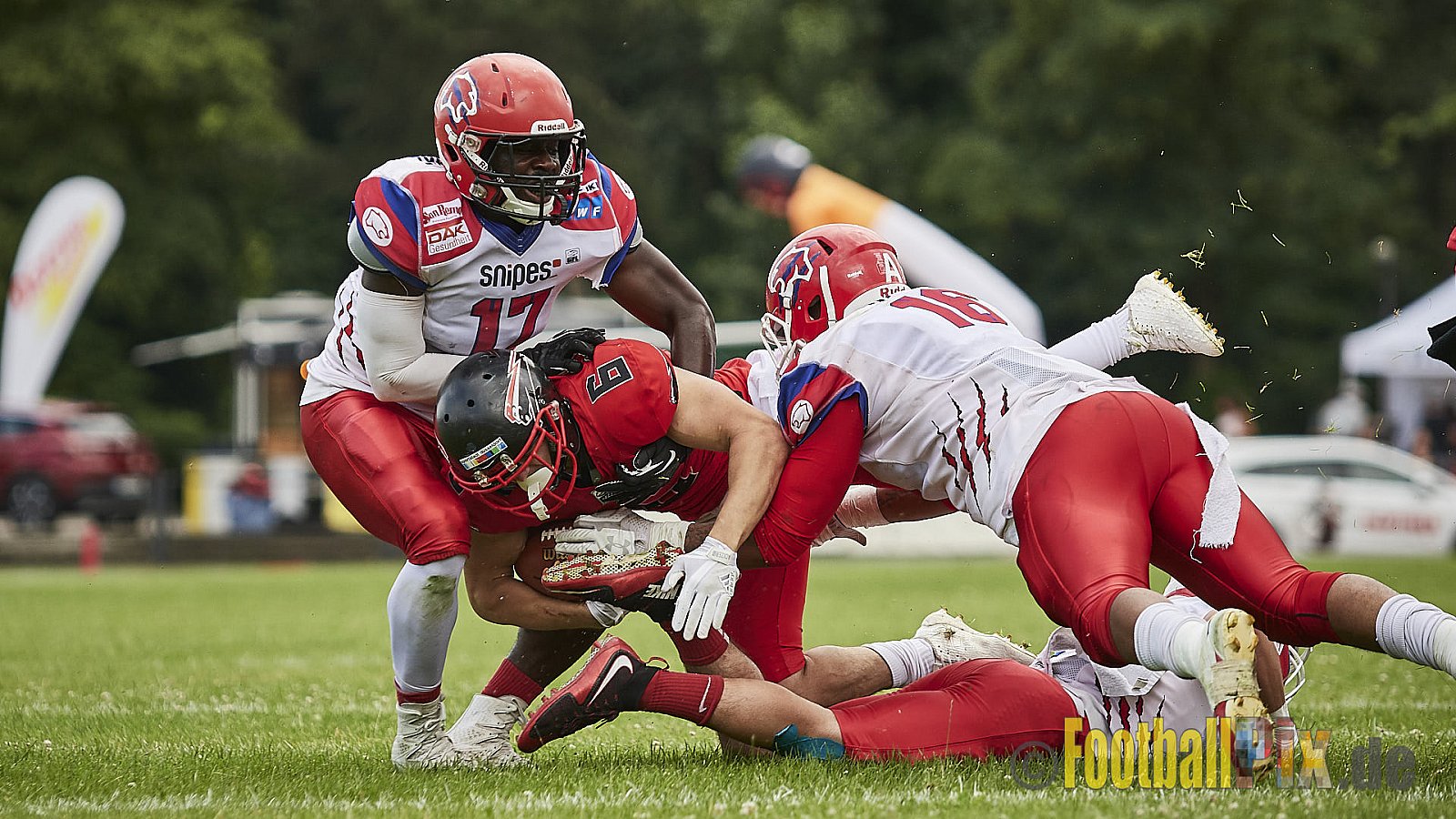 Düsseldorf Panther vs. Lübeck Cougars - DPantherVsLCougars