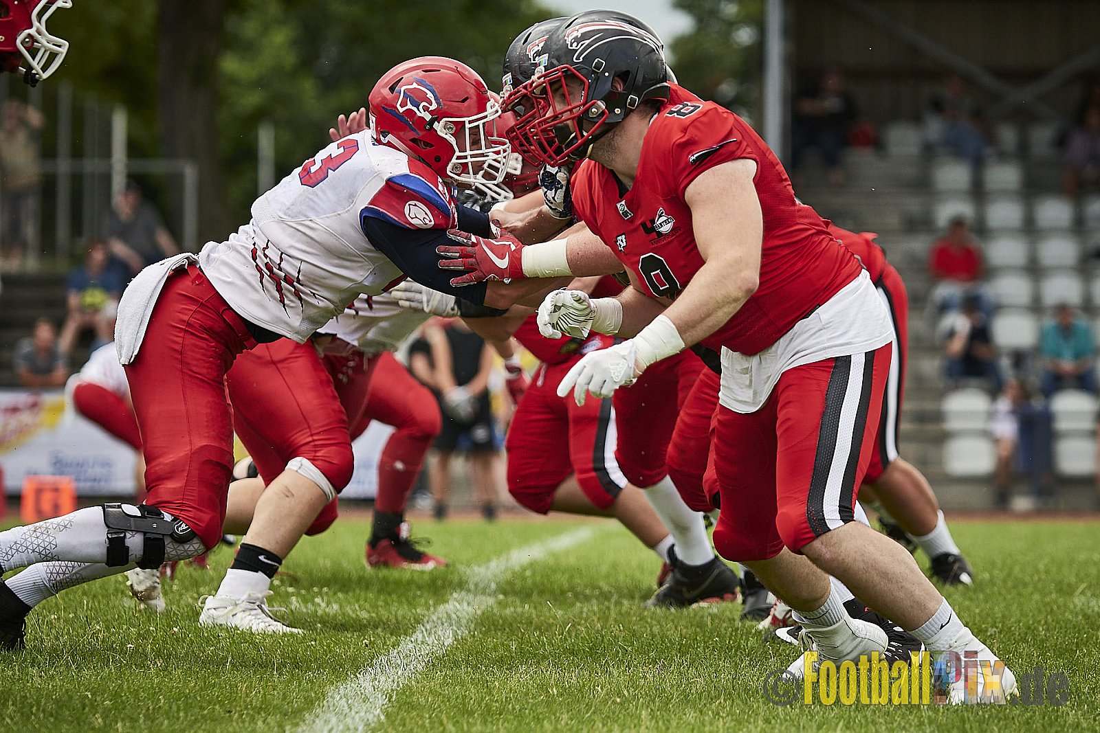 Düsseldorf Panther vs. Lübeck Cougars - DPantherVsLCougars