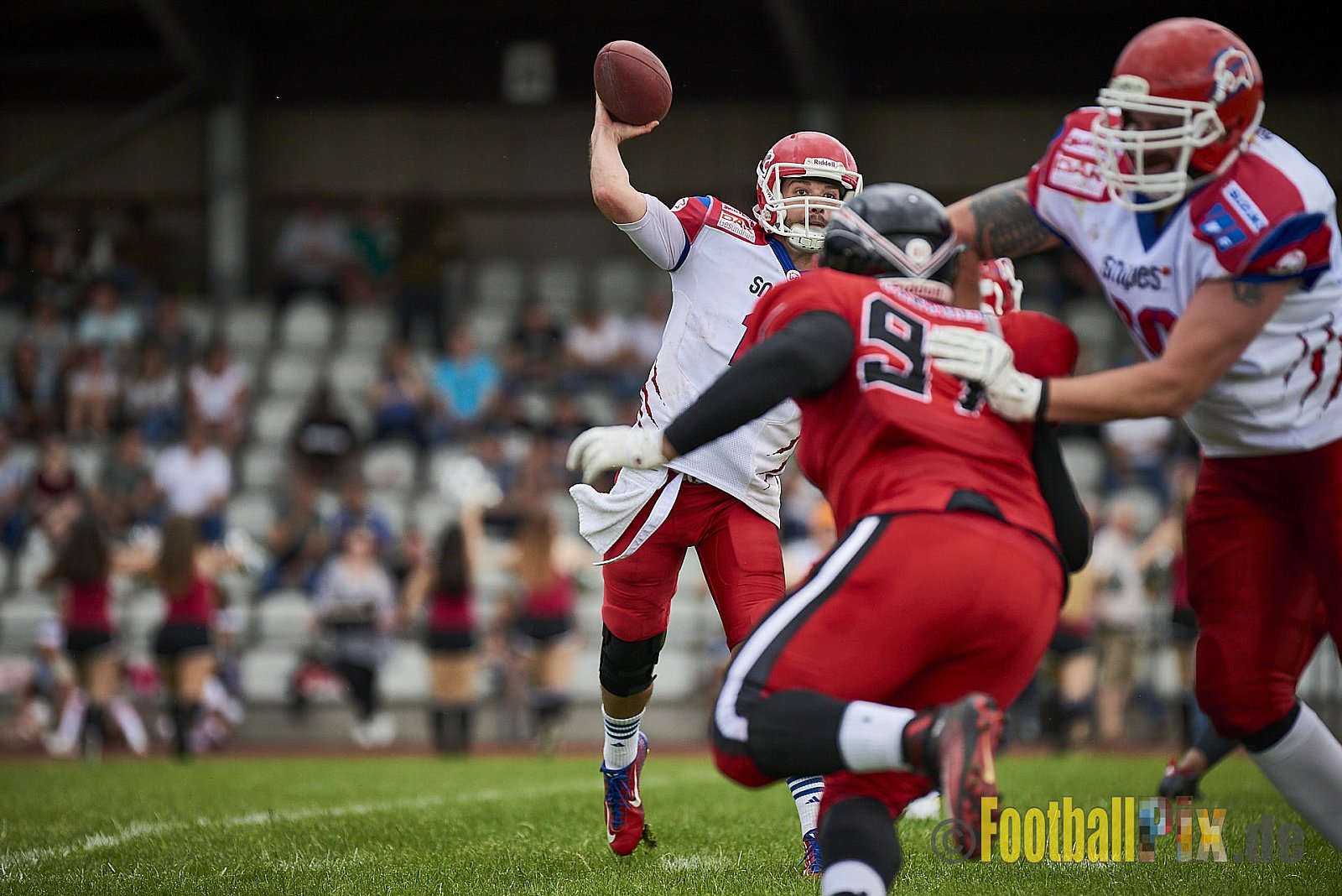 Düsseldorf Panther vs. Lübeck Cougars - DPantherVsLCougars