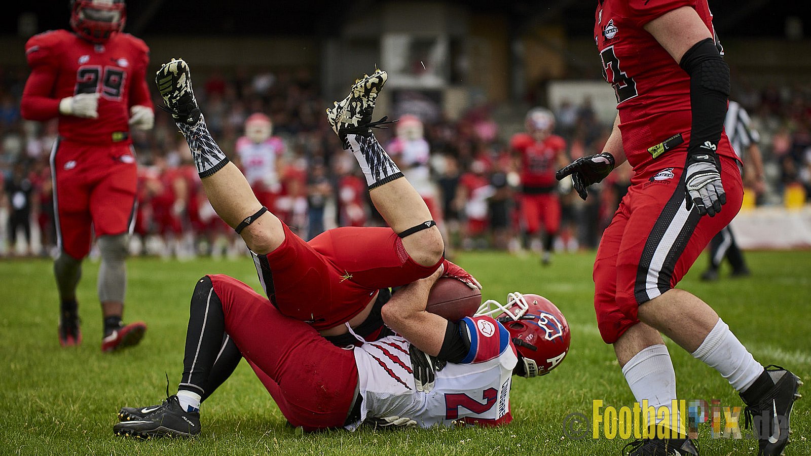 Düsseldorf Panther vs. Lübeck Cougars - DPantherVsLCougars