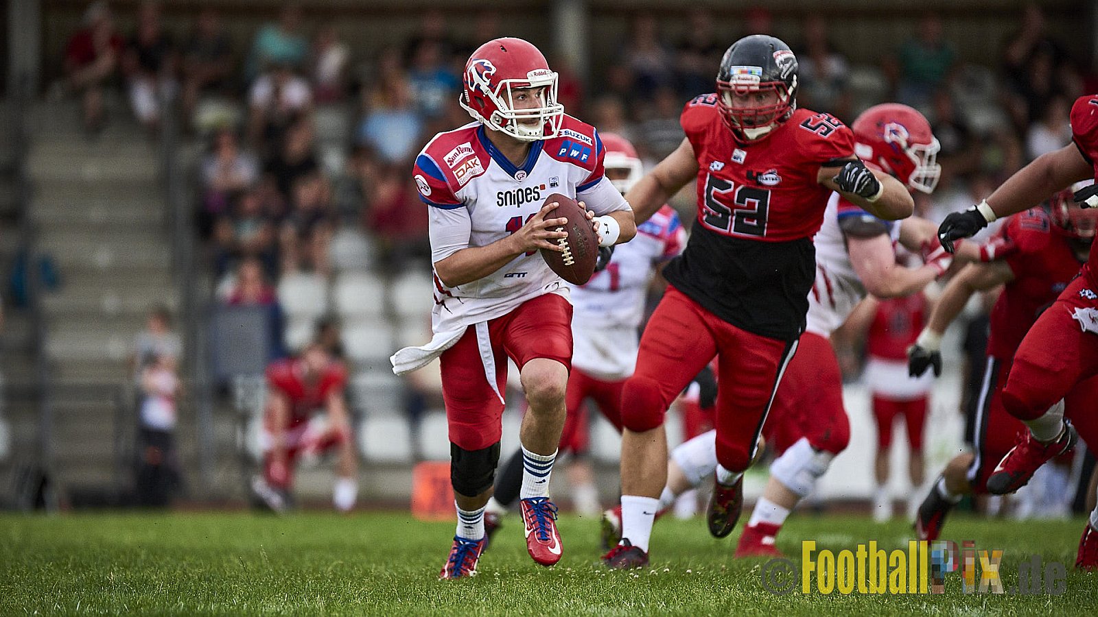 Düsseldorf Panther vs. Lübeck Cougars - DPantherVsLCougars