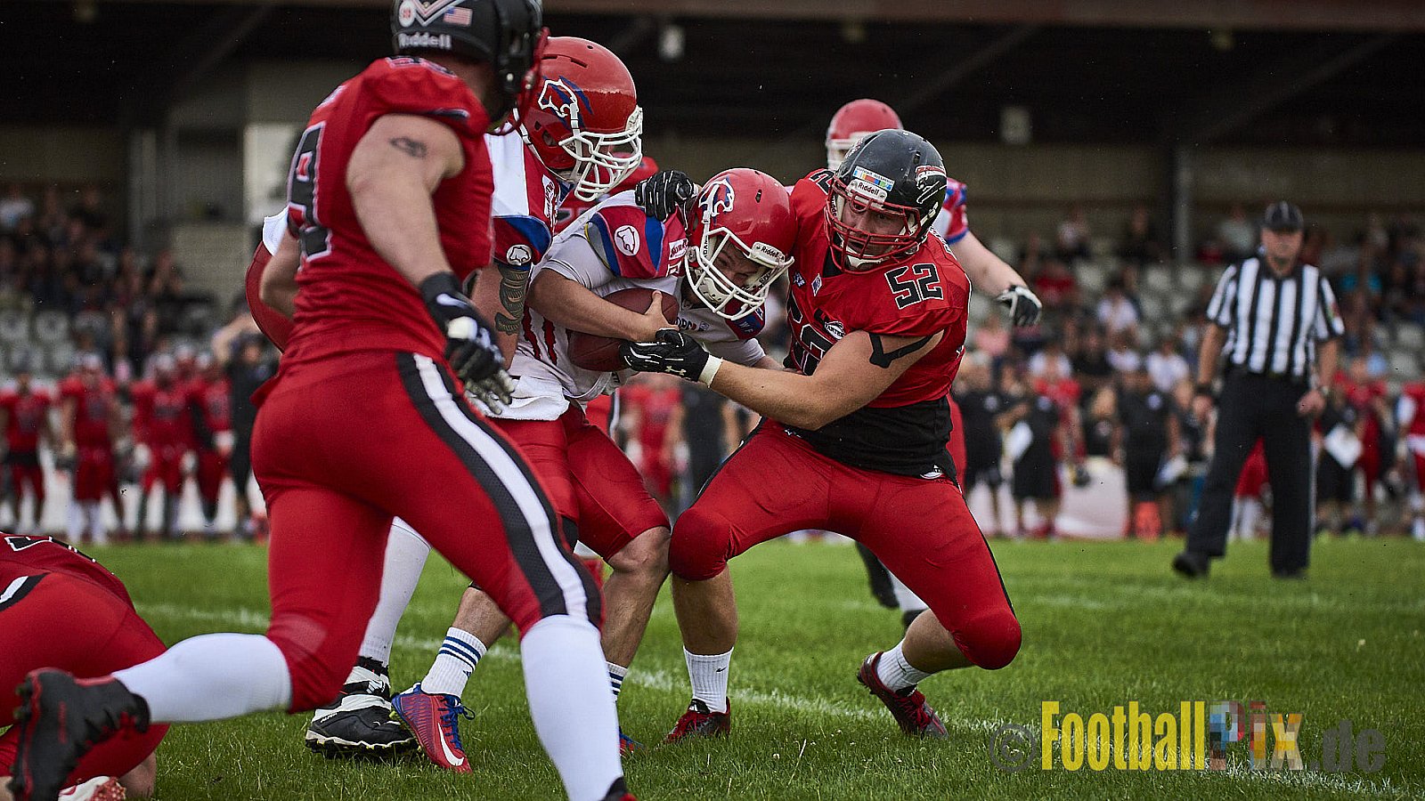 Düsseldorf Panther vs. Lübeck Cougars - DPantherVsLCougars