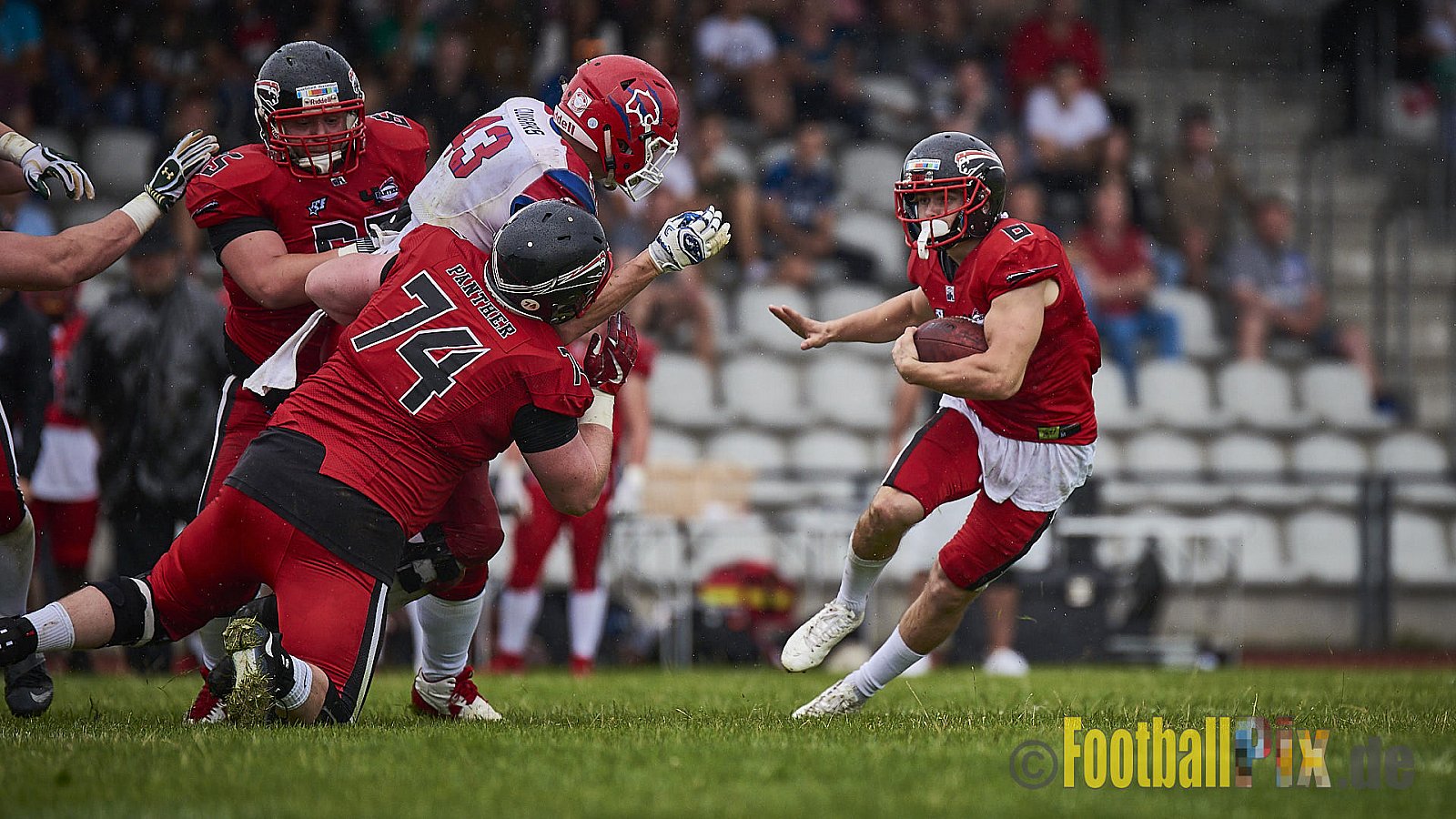 Düsseldorf Panther vs. Lübeck Cougars - DPantherVsLCougars