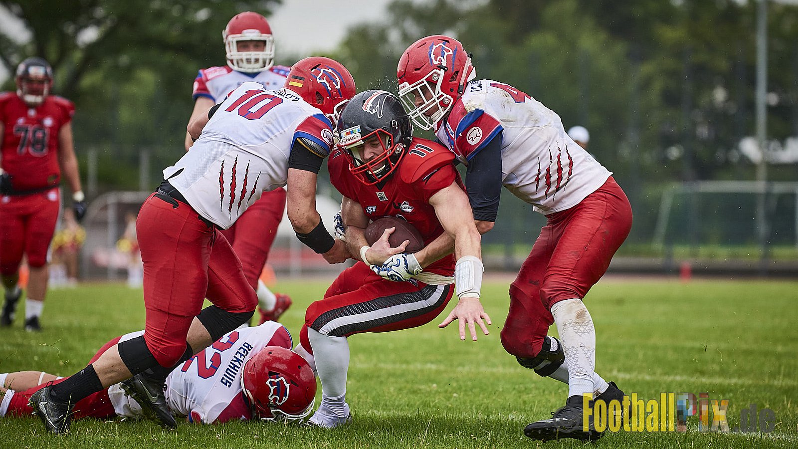 Düsseldorf Panther vs. Lübeck Cougars - DPantherVsLCougars