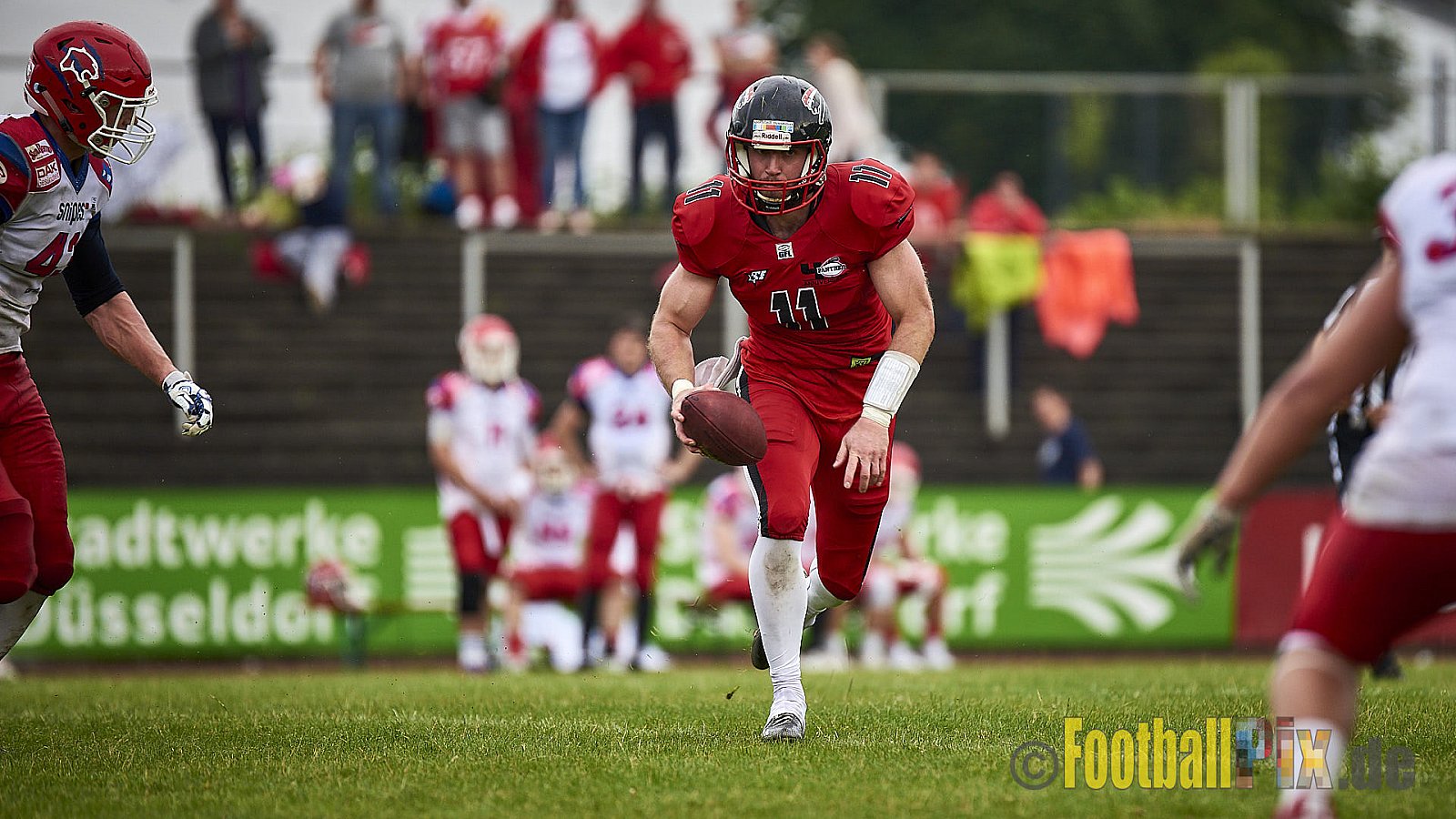 Düsseldorf Panther vs. Lübeck Cougars - DPantherVsLCougars