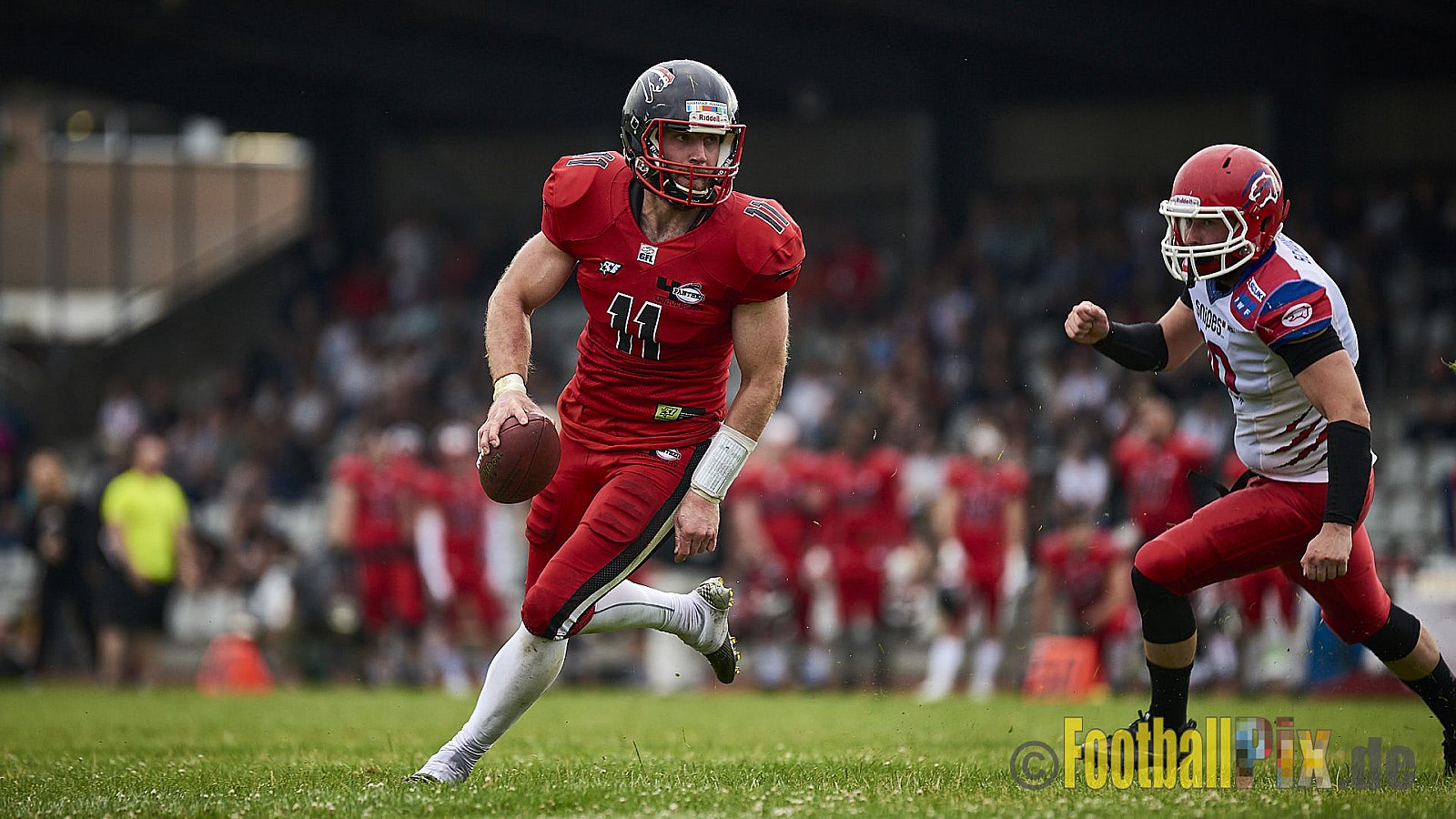 Düsseldorf Panther vs. Lübeck Cougars - DPantherVsLCougars