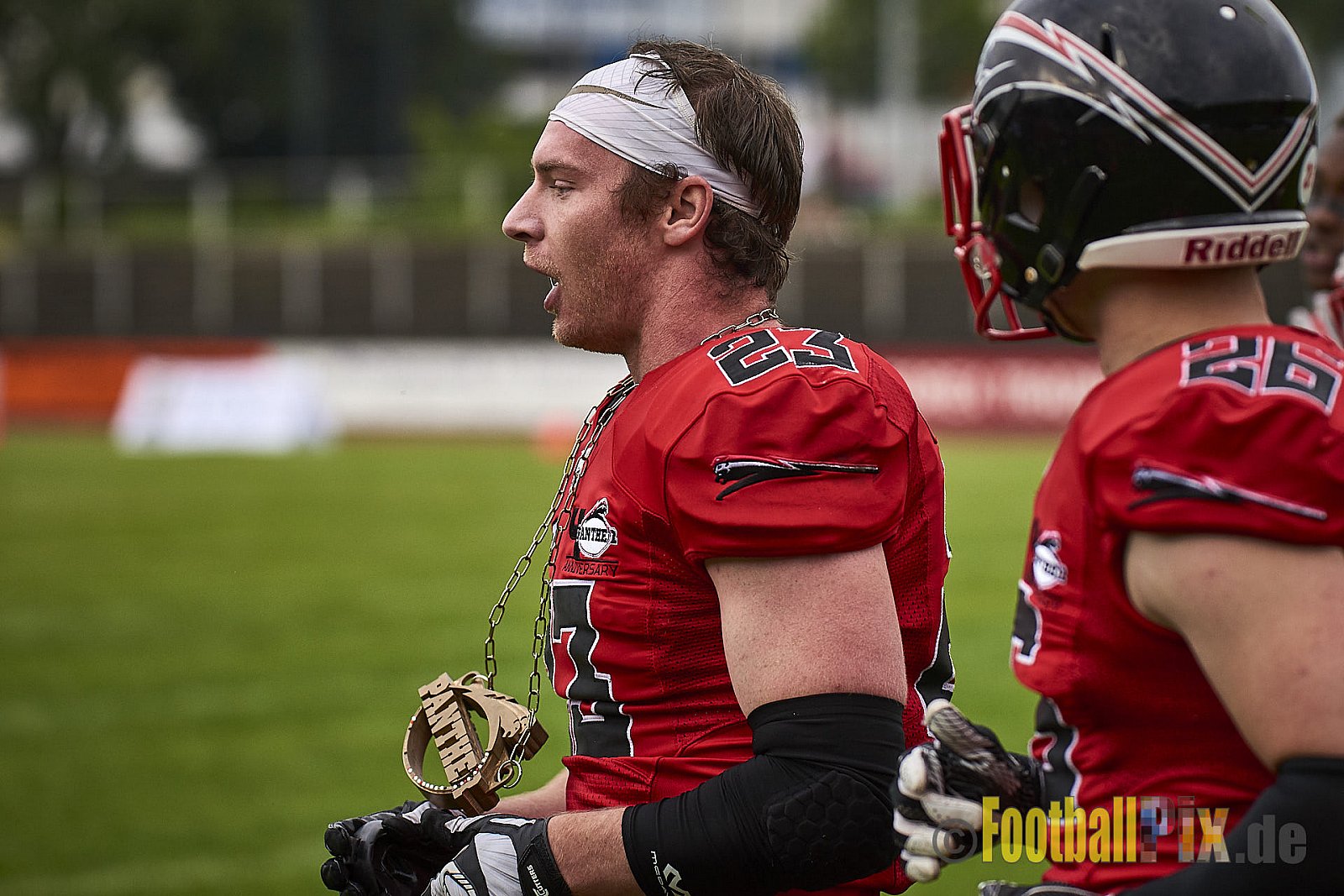 Düsseldorf Panther vs. Lübeck Cougars - DPantherVsLCougars