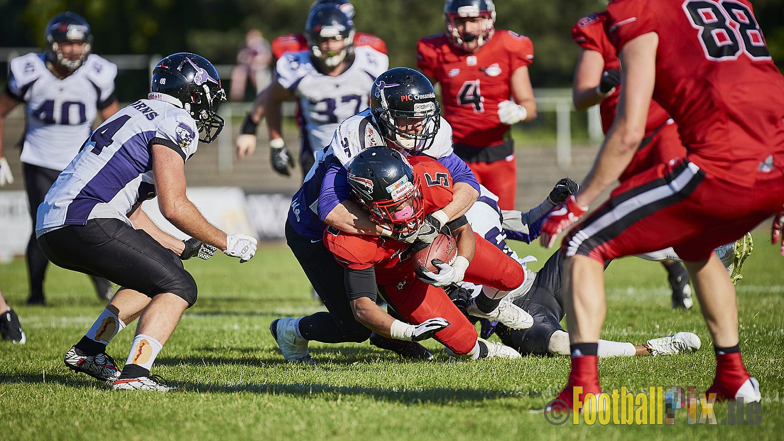 Düsseldorf Panther vs. Langenfeld Longhorns - DPantherVsLangenfeldLonghorns