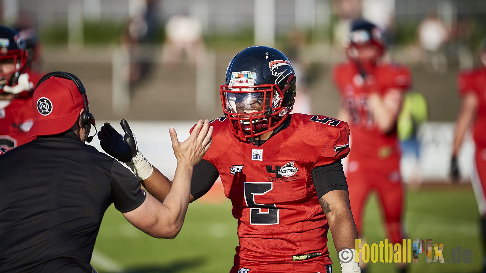 Düsseldorf Panther vs. Langenfeld Longhorns - DPantherVsLangenfeldLonghorns