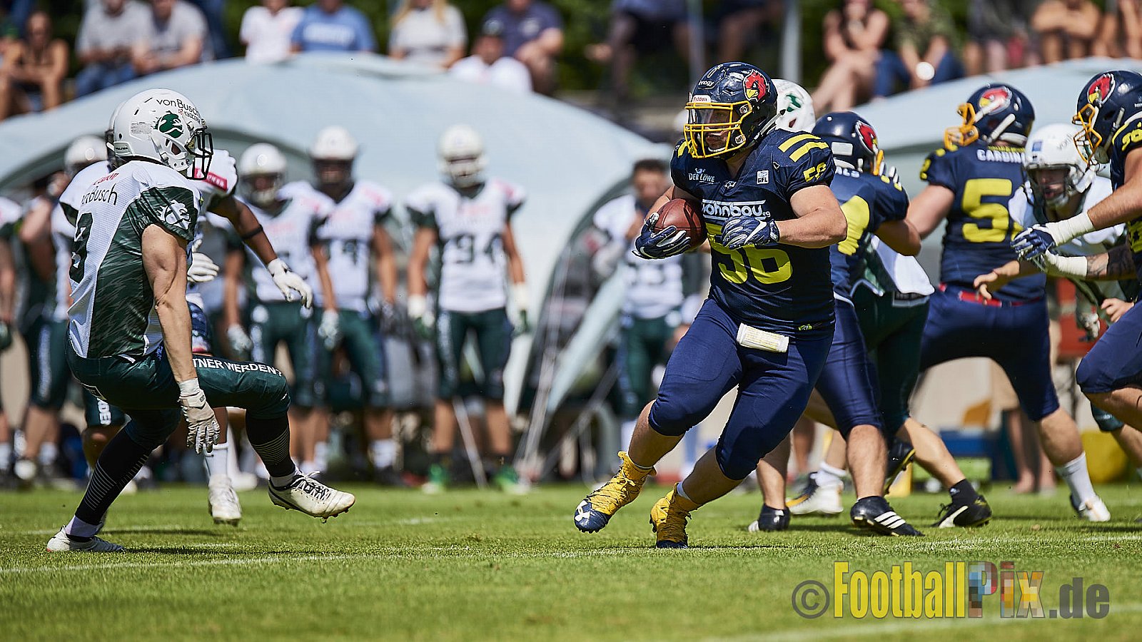 Essen Assindia Cardinals vs. Bielefeld Bulldogs - EssenAssindiaCardinalsVsBielefeldBulldogs
