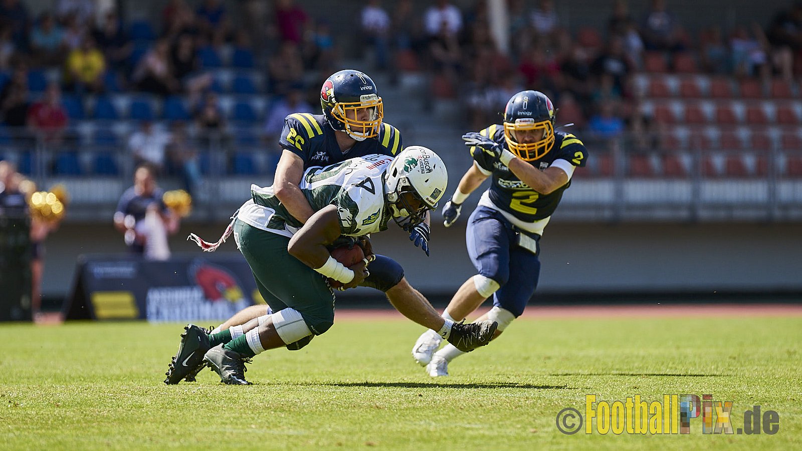 Essen Assindia Cardinals vs. Bielefeld Bulldogs - EssenAssindiaCardinalsVsBielefeldBulldogs