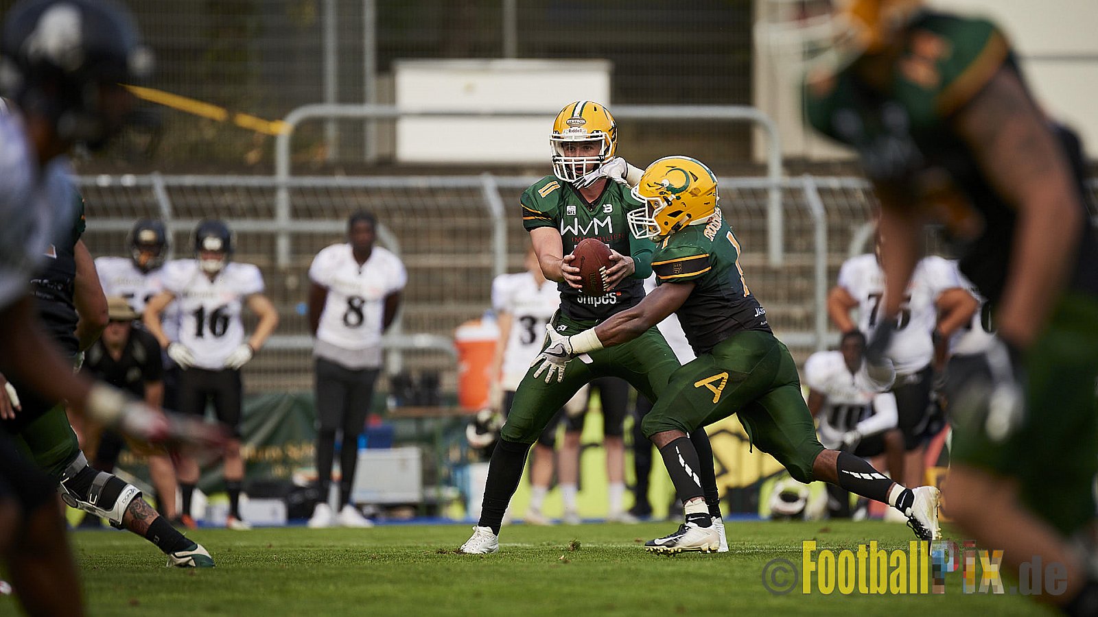 Cologne Crocodiles vs. Berlin Rebels - CologneCrocodilesVsBerlinRebels