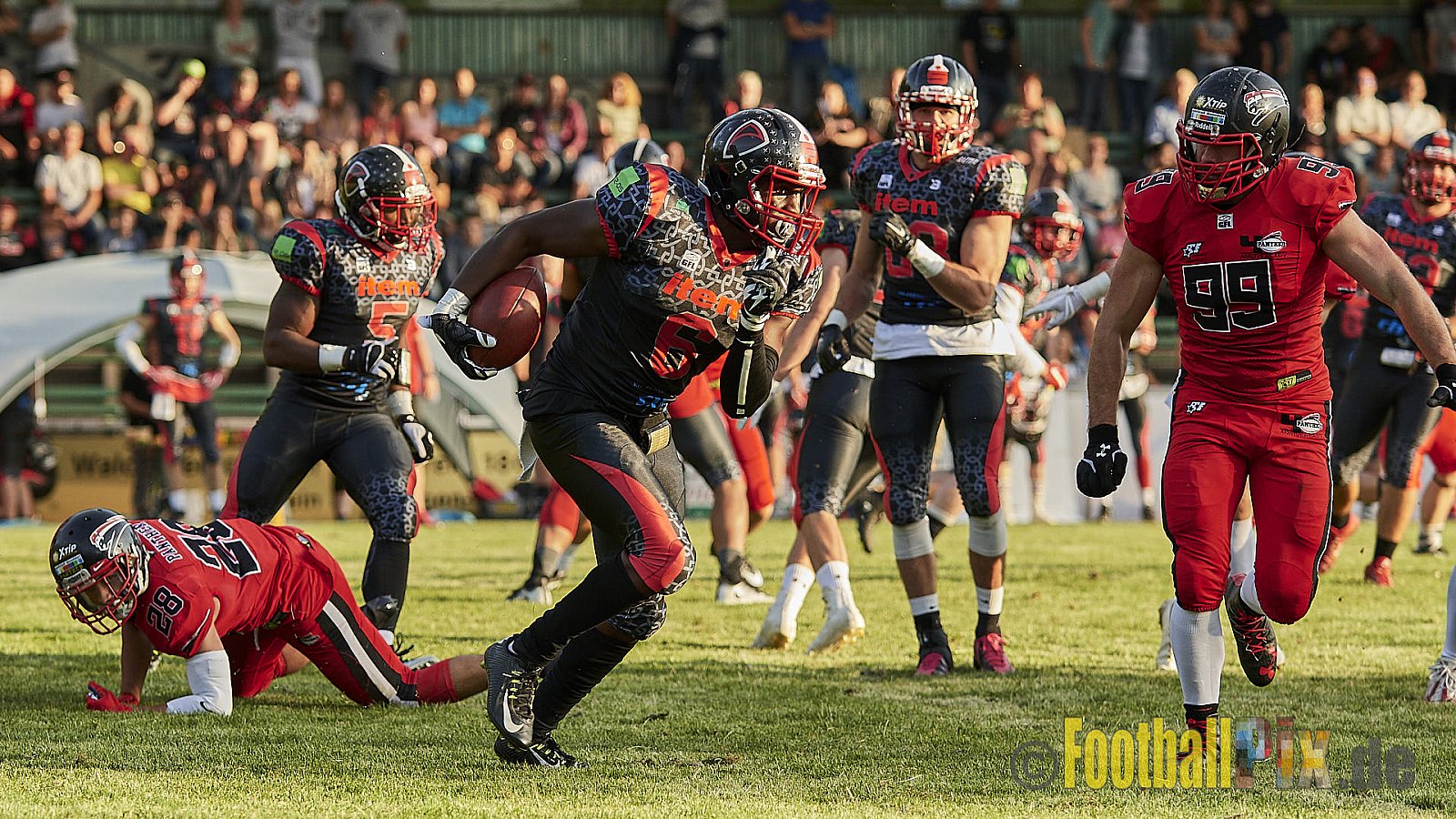 Solingen Paladins vs. Düsseldorf Panther - SolingenPaladinsVsDPanther