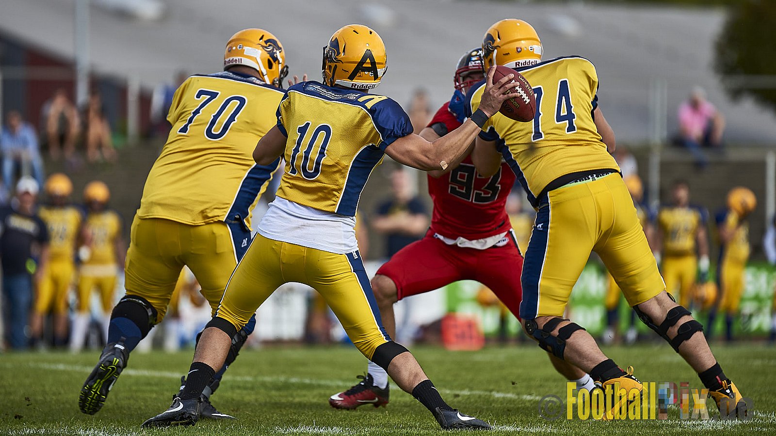 Düsseldorf Panther vs. Elmshorn Fighting Pirates - DPantherVsElmshornFightingPirates