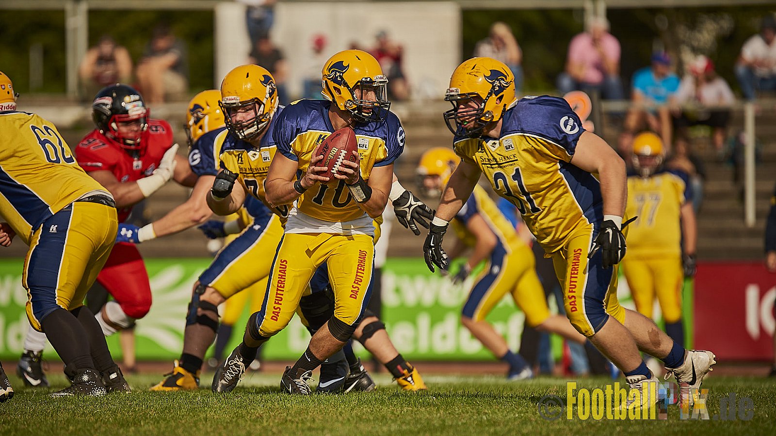 Düsseldorf Panther vs. Elmshorn Fighting Pirates - DPantherVsElmshornFightingPirates