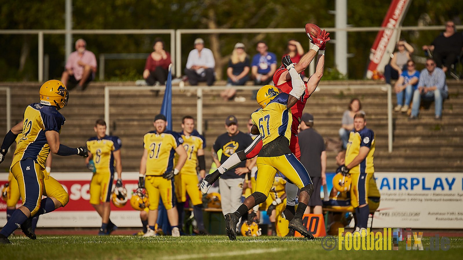 Düsseldorf Panther vs. Elmshorn Fighting Pirates - DPantherVsElmshornFightingPirates