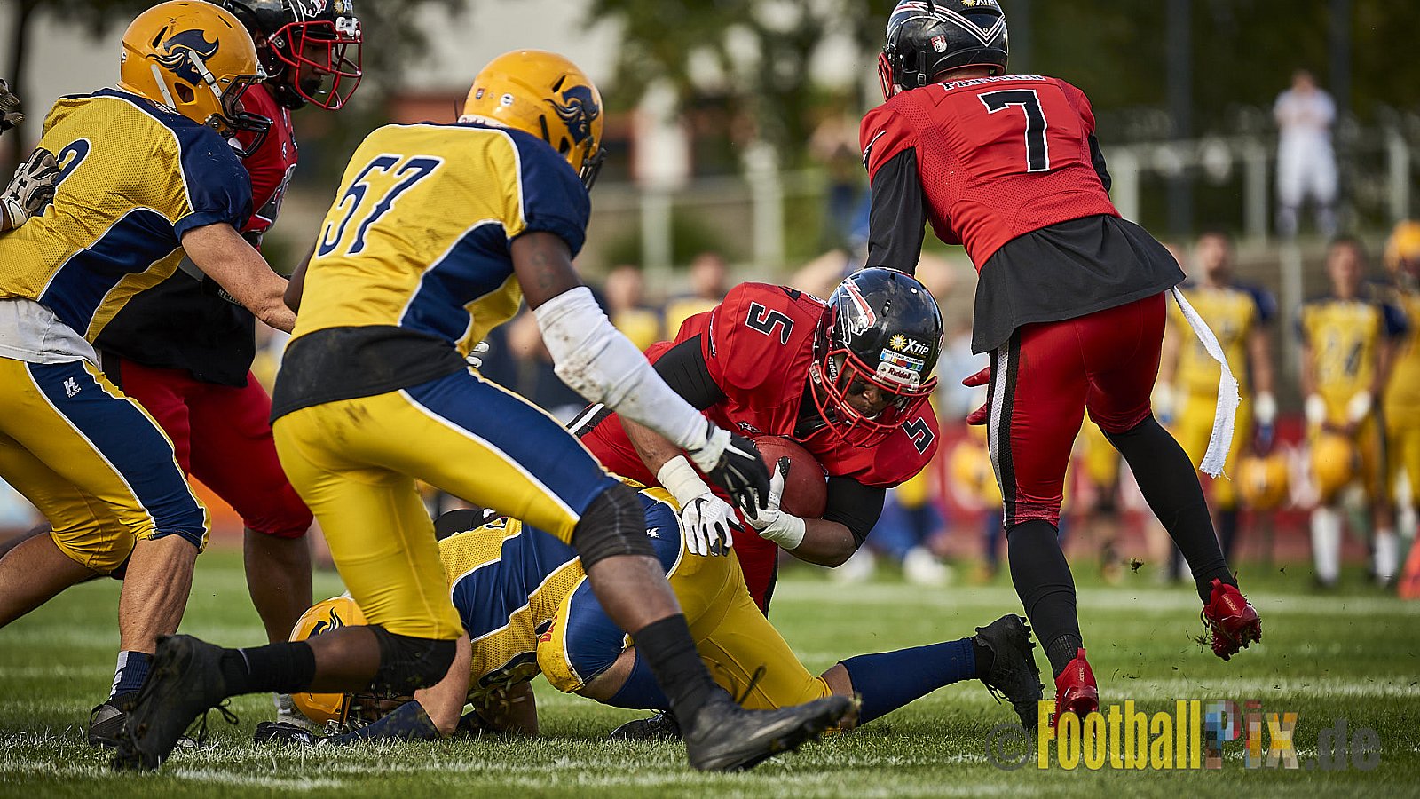 Düsseldorf Panther vs. Elmshorn Fighting Pirates - DPantherVsElmshornFightingPirates