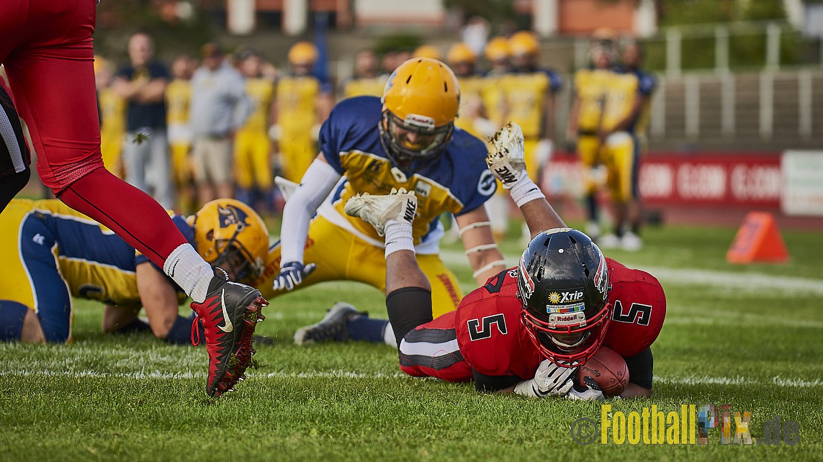 Düsseldorf Panther vs. Elmshorn Fighting Pirates - DPantherVsElmshornFightingPirates