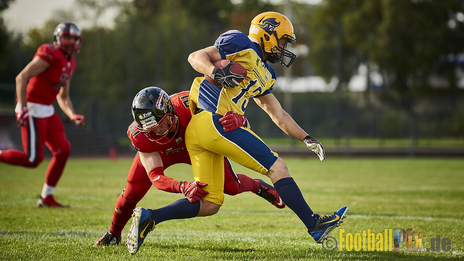 Düsseldorf Panther vs. Elmshorn Fighting Pirates - DPantherVsElmshornFightingPirates