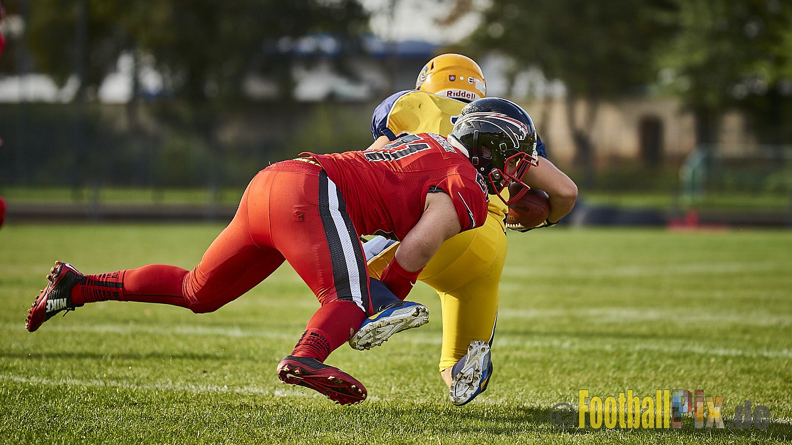 Düsseldorf Panther vs. Elmshorn Fighting Pirates - DPantherVsElmshornFightingPirates